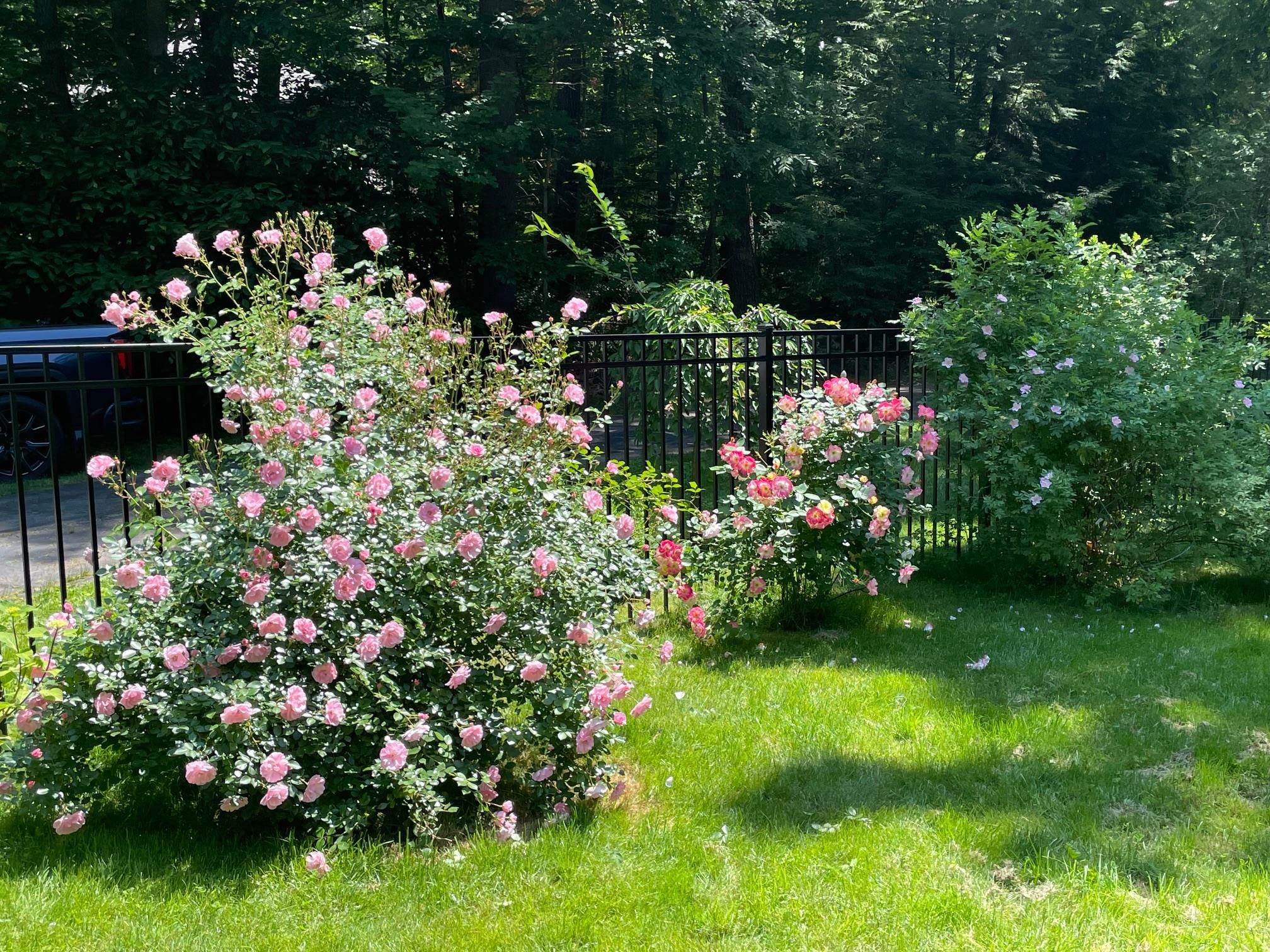 22 Colonial Way, Exeter, NH 03833