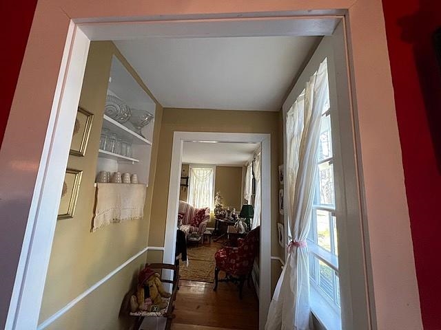 Walk-Through China Closet