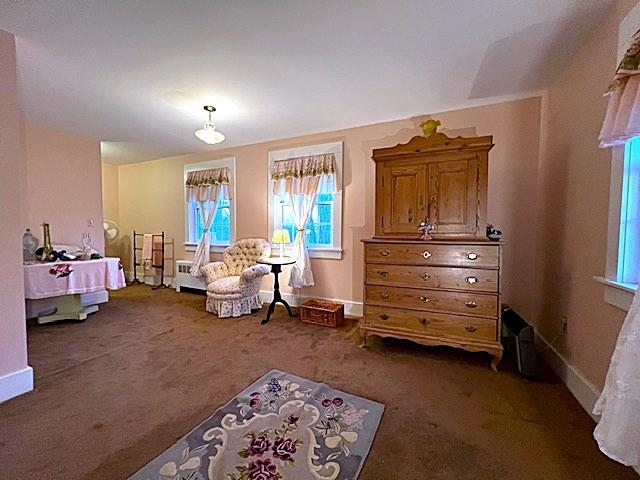 Current Primary Bedroom