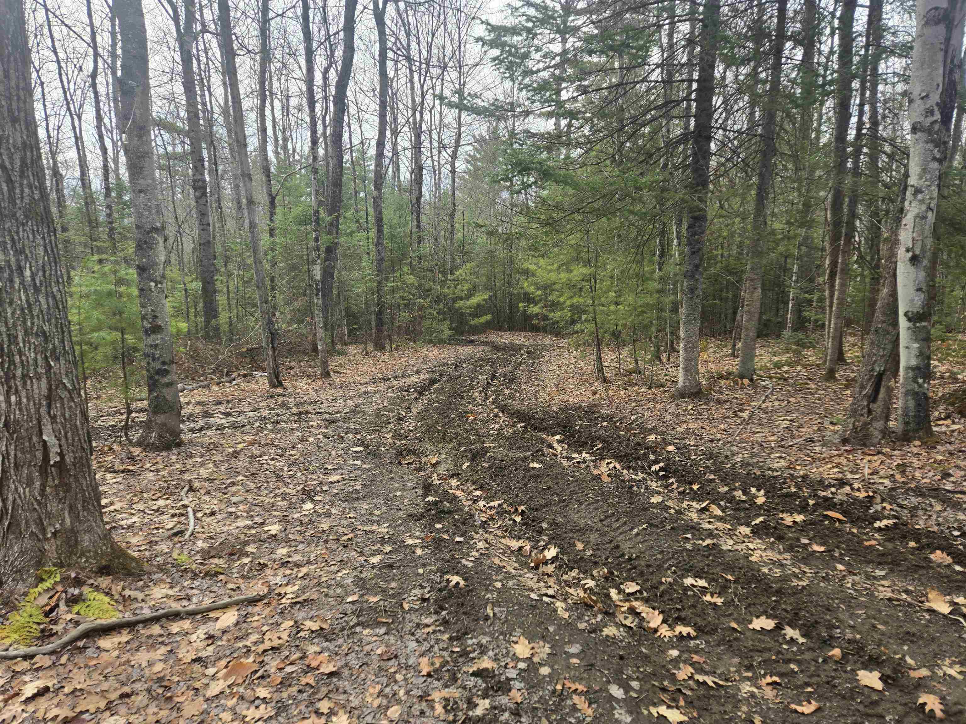 277 Foster Hill Rd, Bath, NH 03740