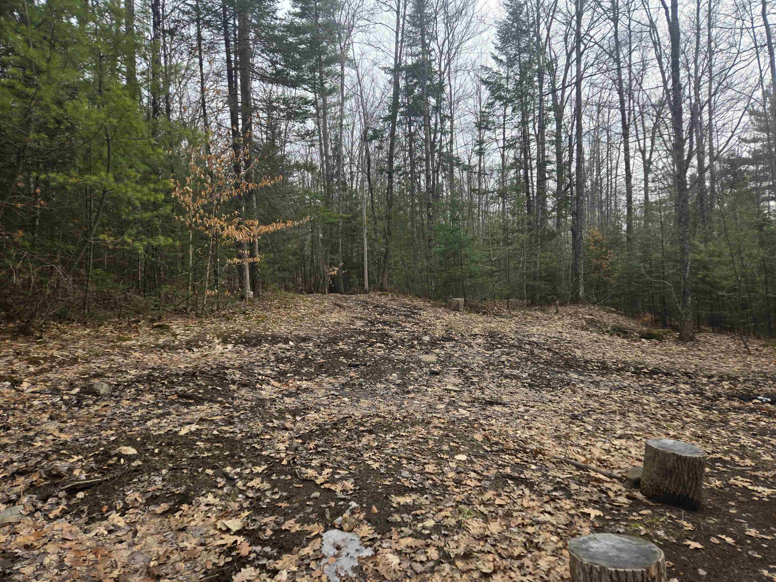 277 Foster Hill Rd, Bath, NH 03740