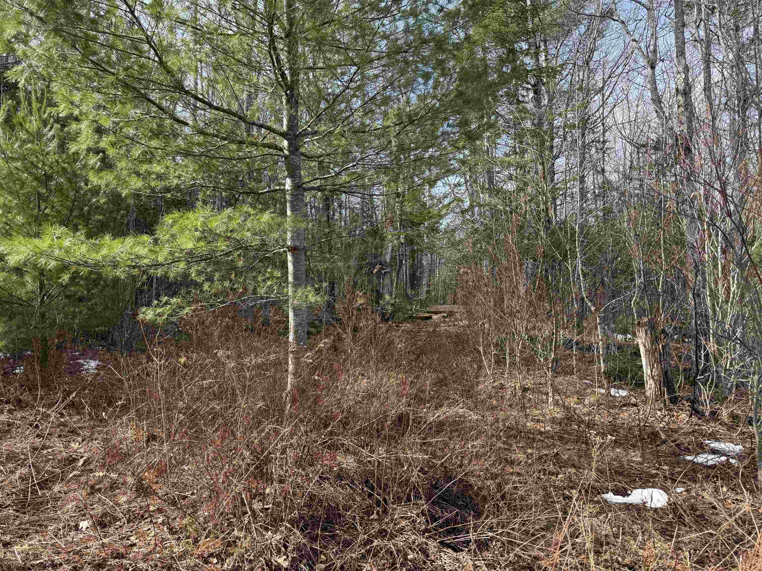 0 Hoyt Hill Rd, Orange, NH 03741