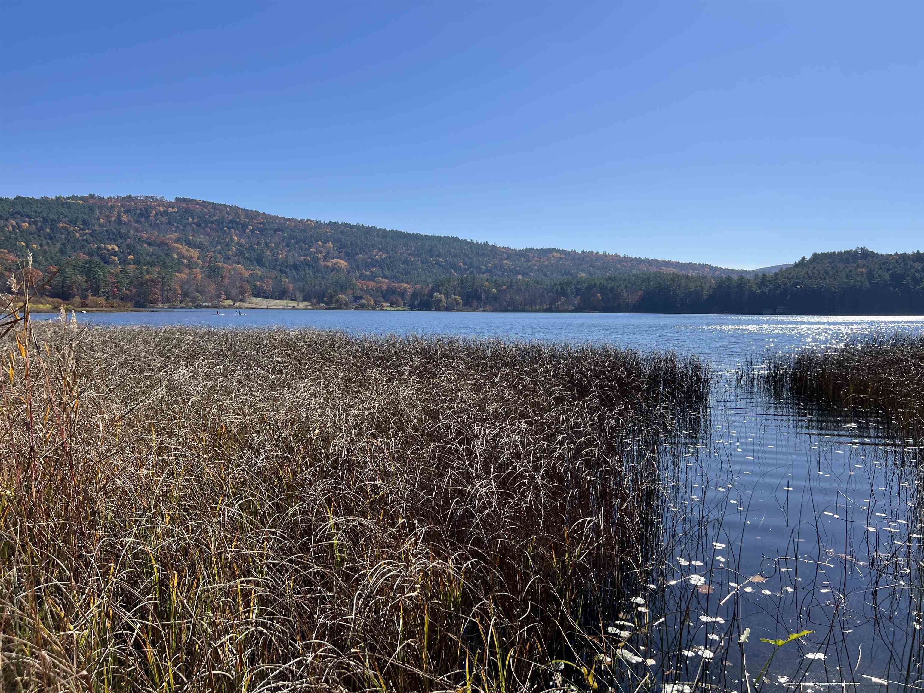 31 Post Pond Ln, Lyme, NH 03768