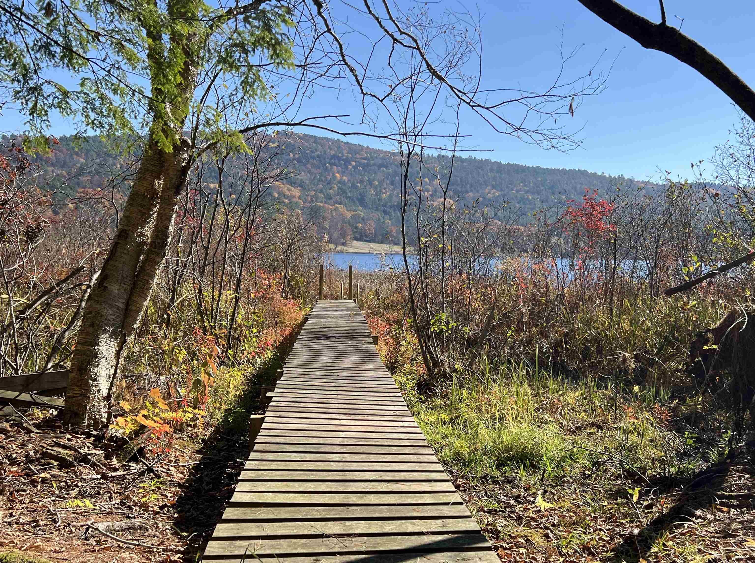 31 Post Pond Ln, Lyme, NH 03768