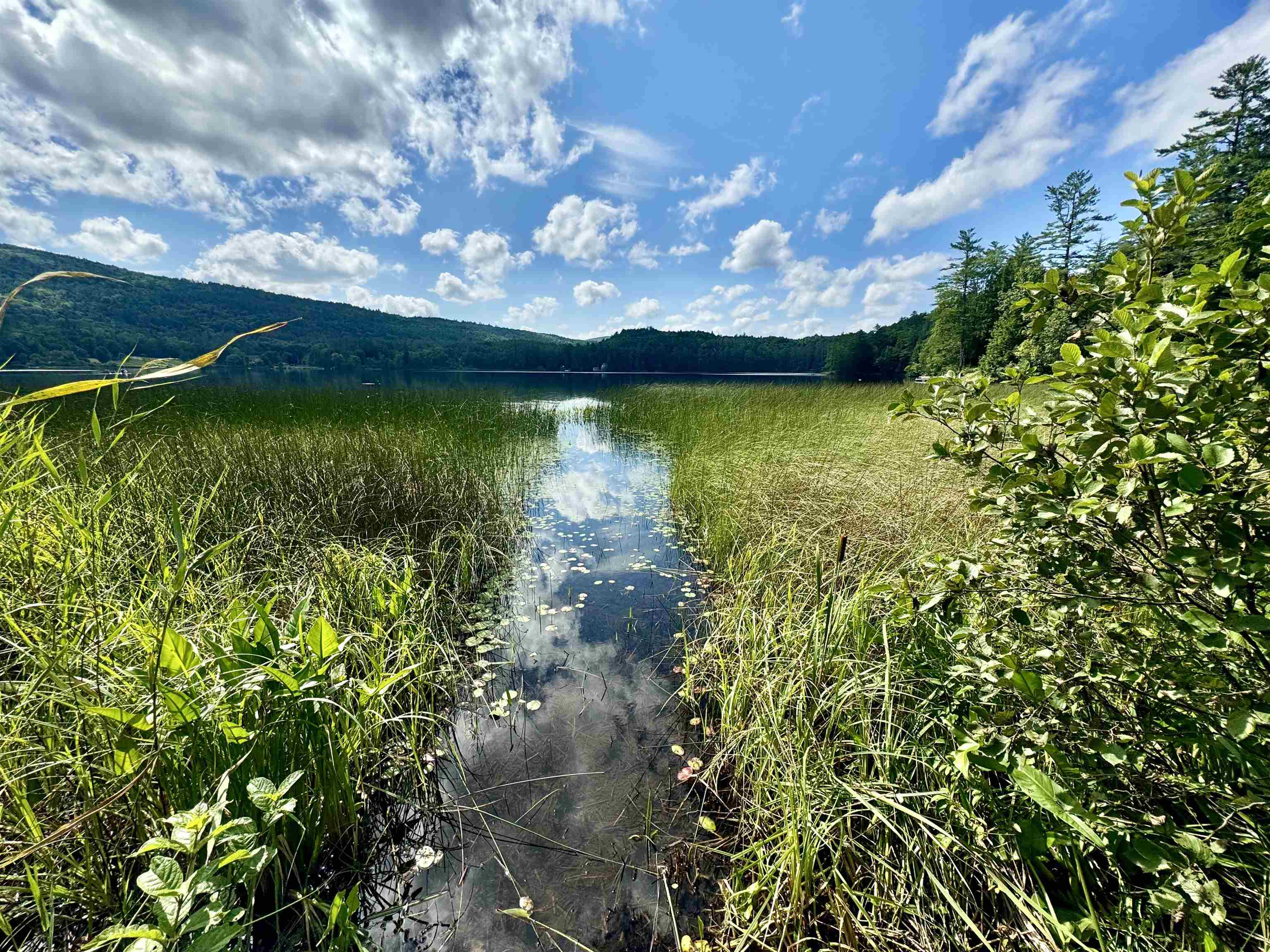 31 Post Pond Ln, Lyme, NH 03768