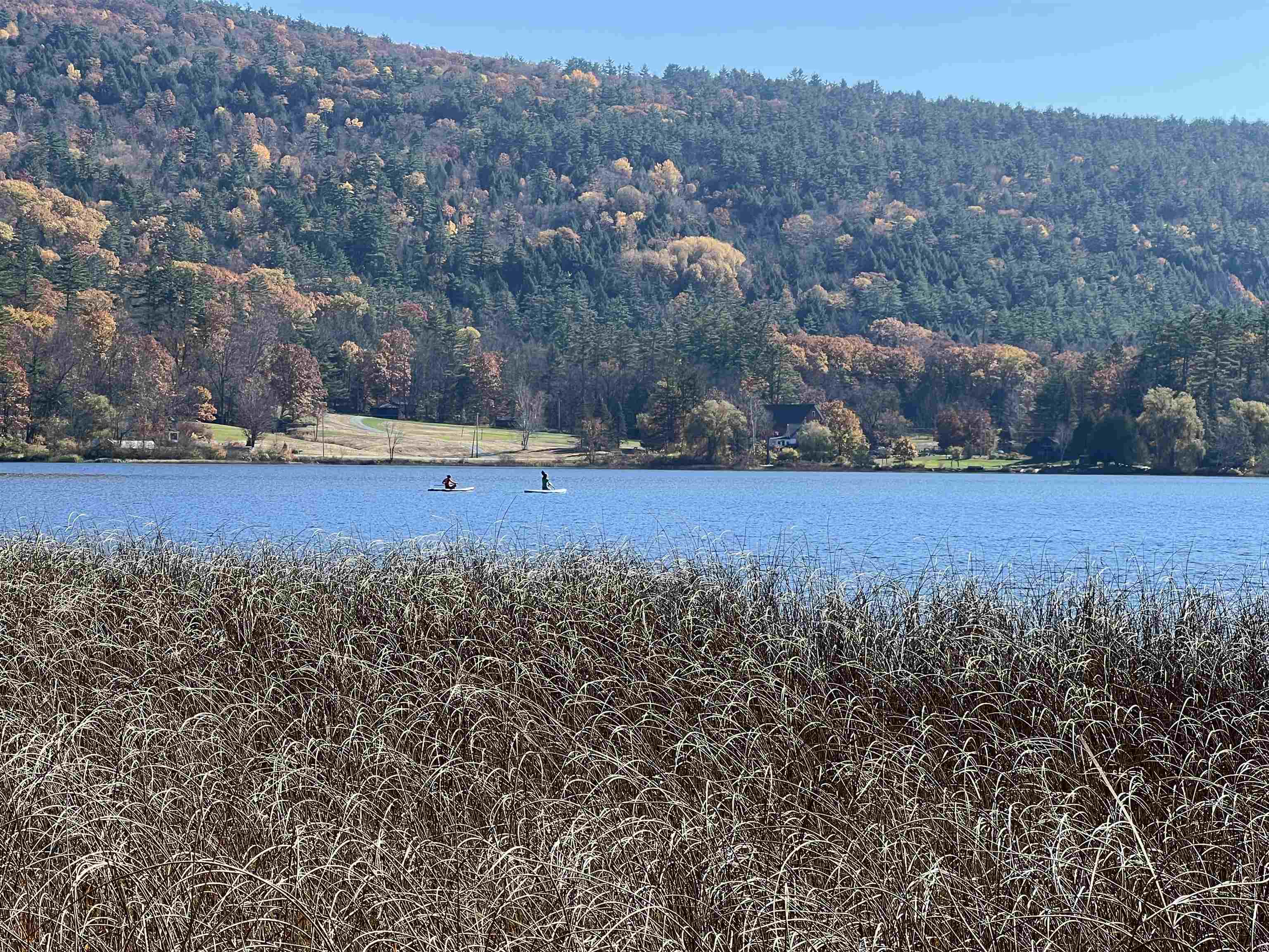 31 Post Pond Ln, Lyme, NH 03768