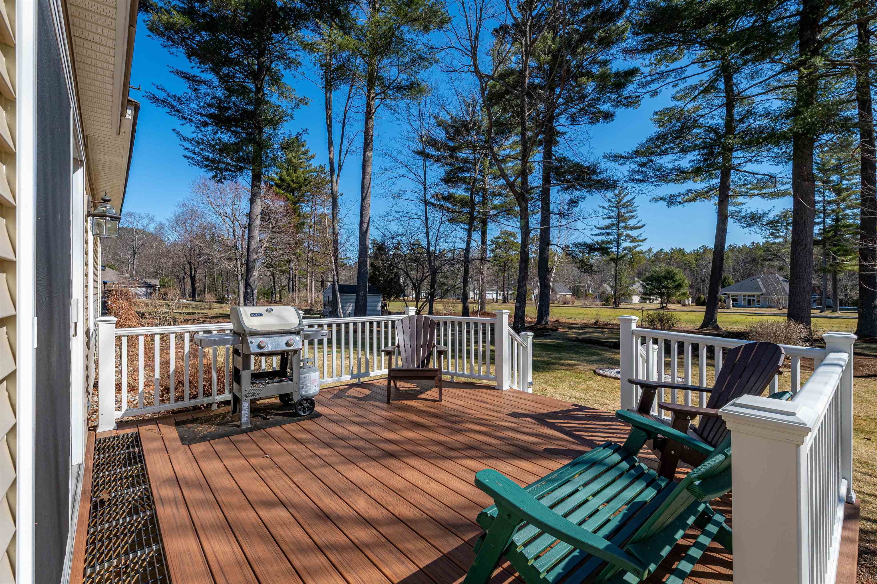 Looking to the Greens