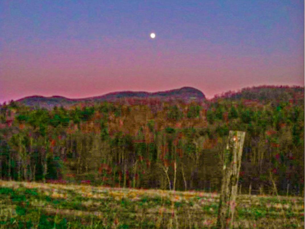 Applesauce Hill Rd, Castleton, VT 05735