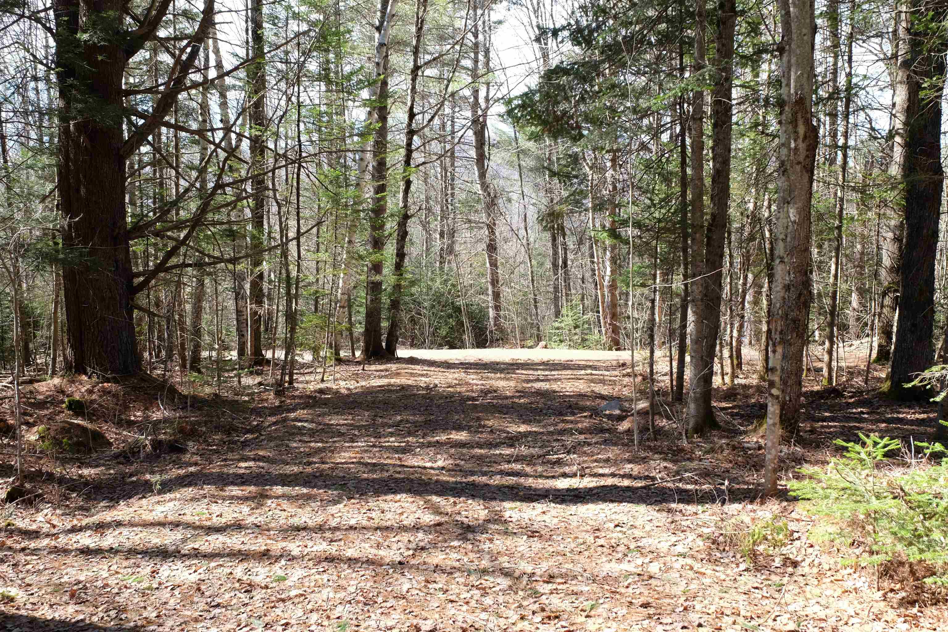 Cape Moonshine Rd, Piermont, NH 03779