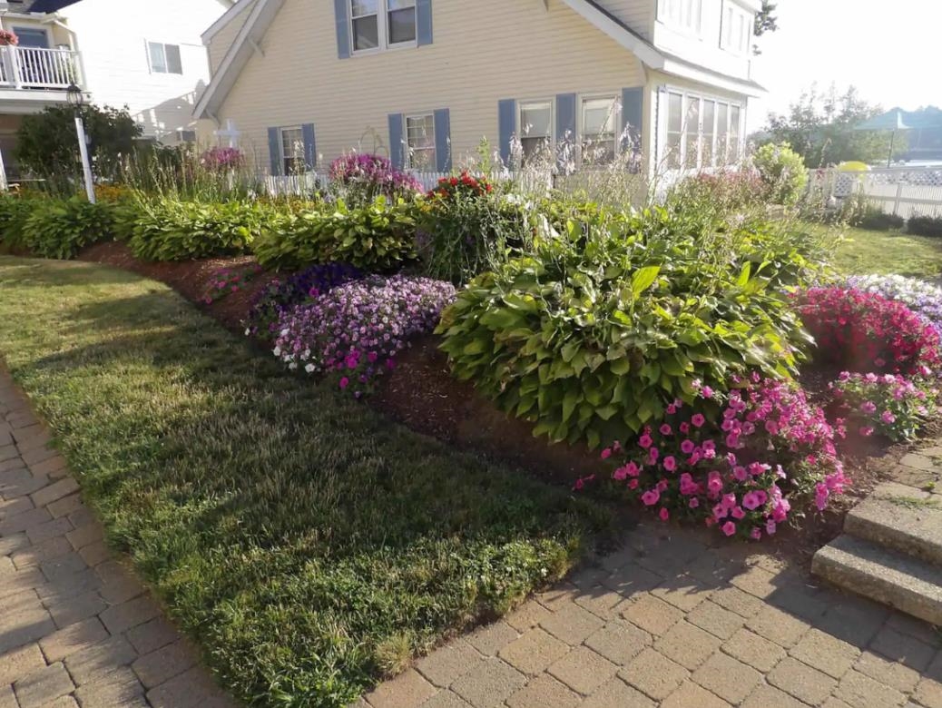 Mature Landscaping