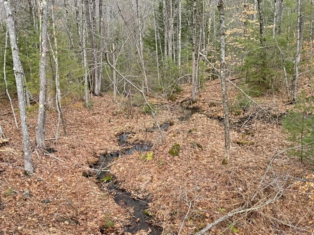 78 Hopper Rd, Milton, NH 03851
