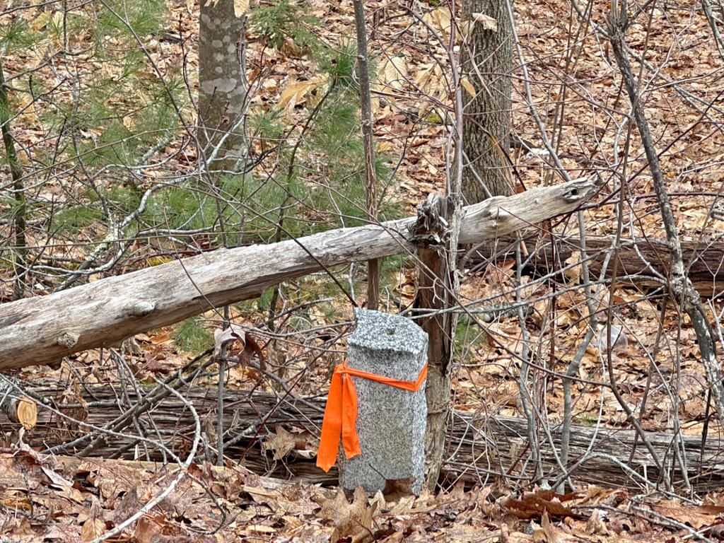 78 Hopper Rd, Milton, NH 03851