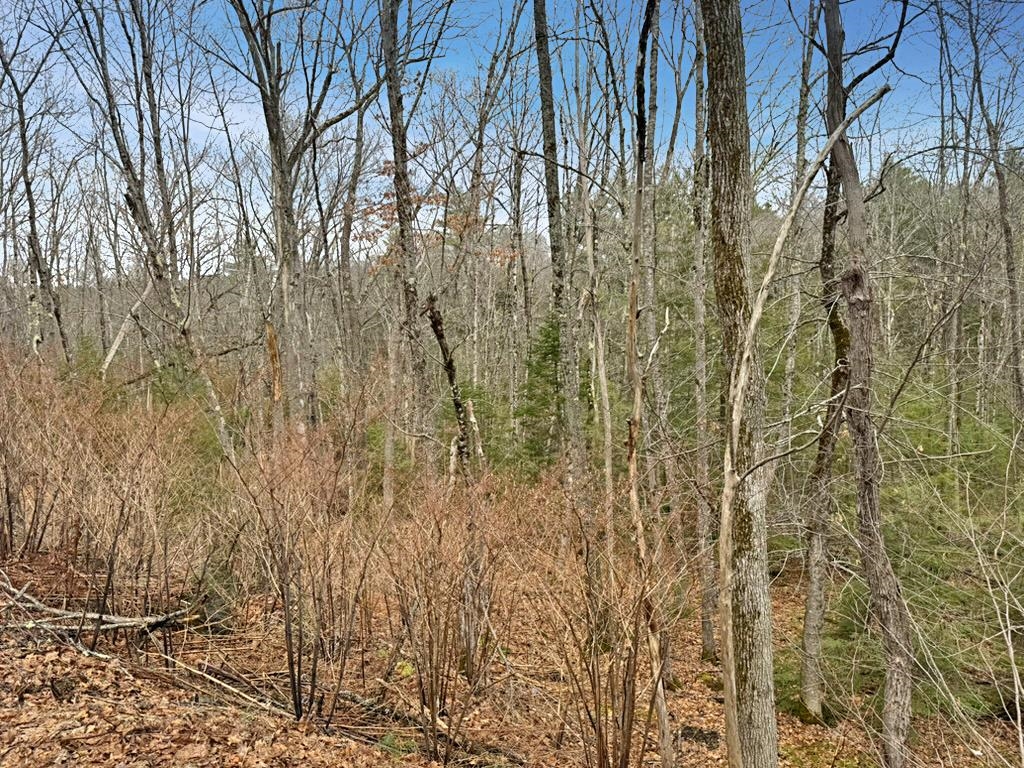 78 Hopper Rd, Milton, NH 03851