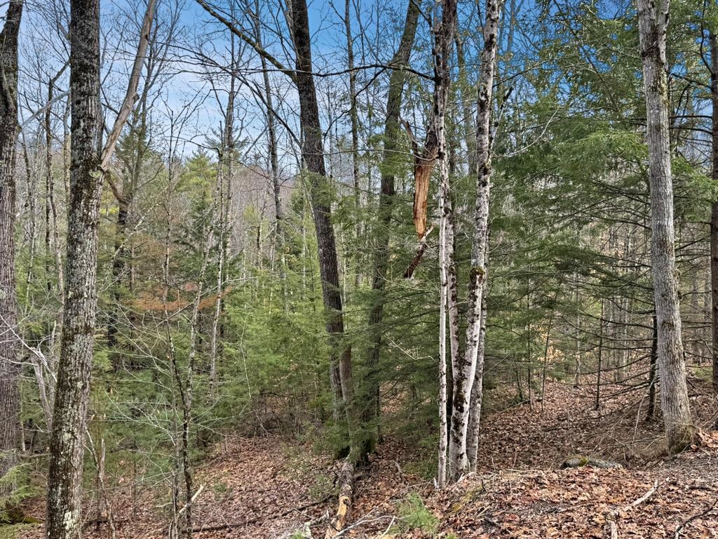 78 Hopper Rd, Milton, NH 03851