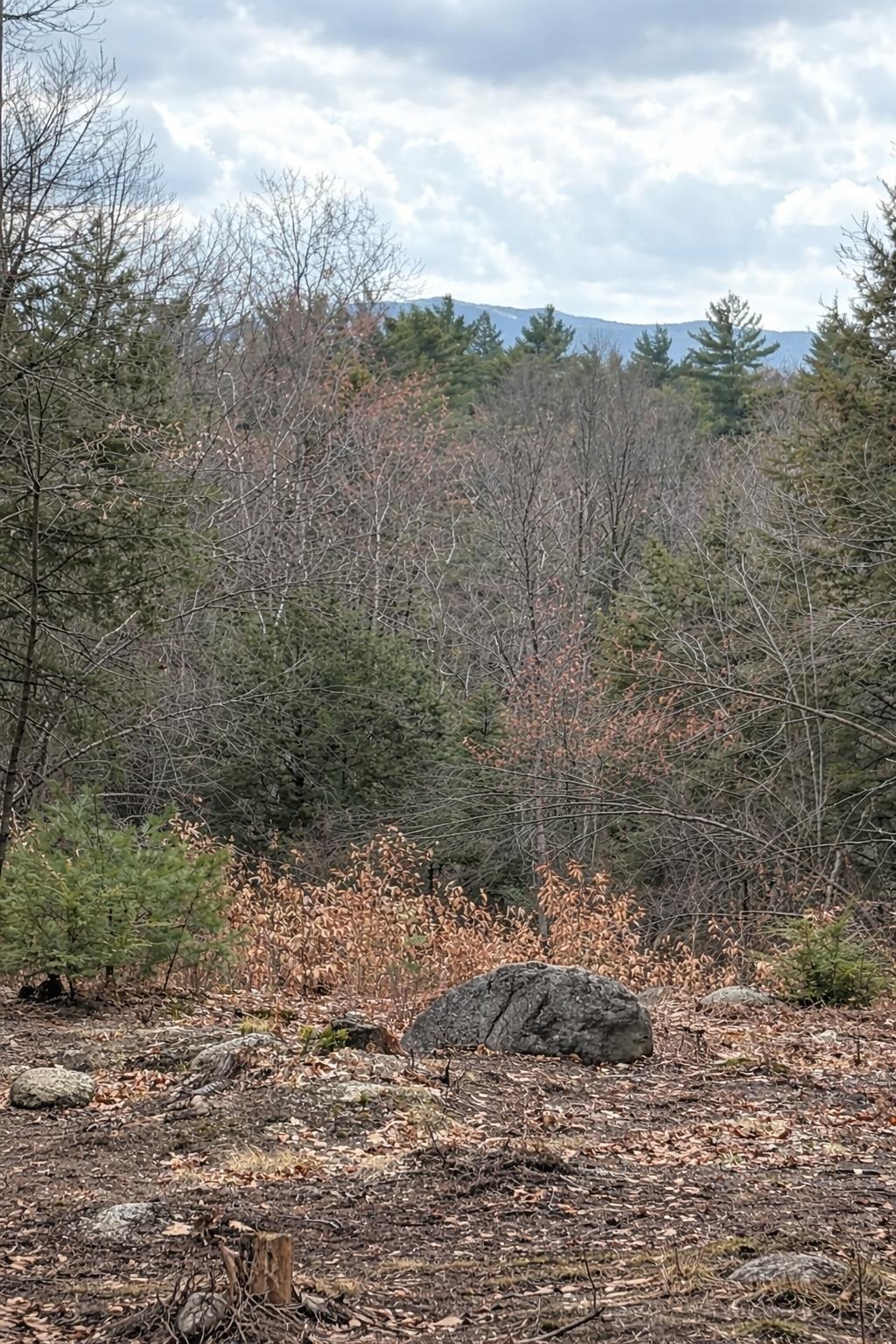 Greenwood Rd, Dublin, NH 03444