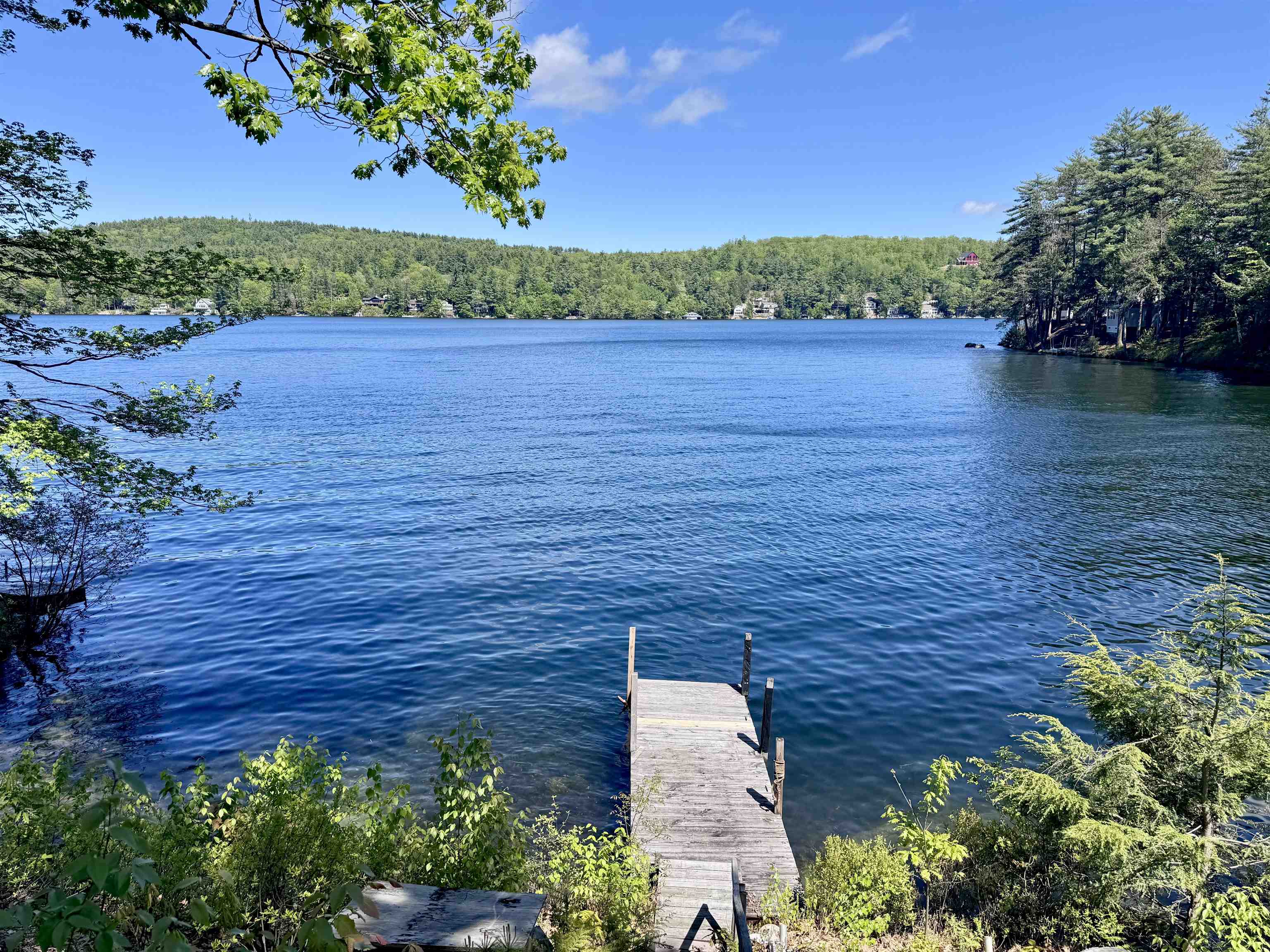20 Boat Cove Road — photo 3