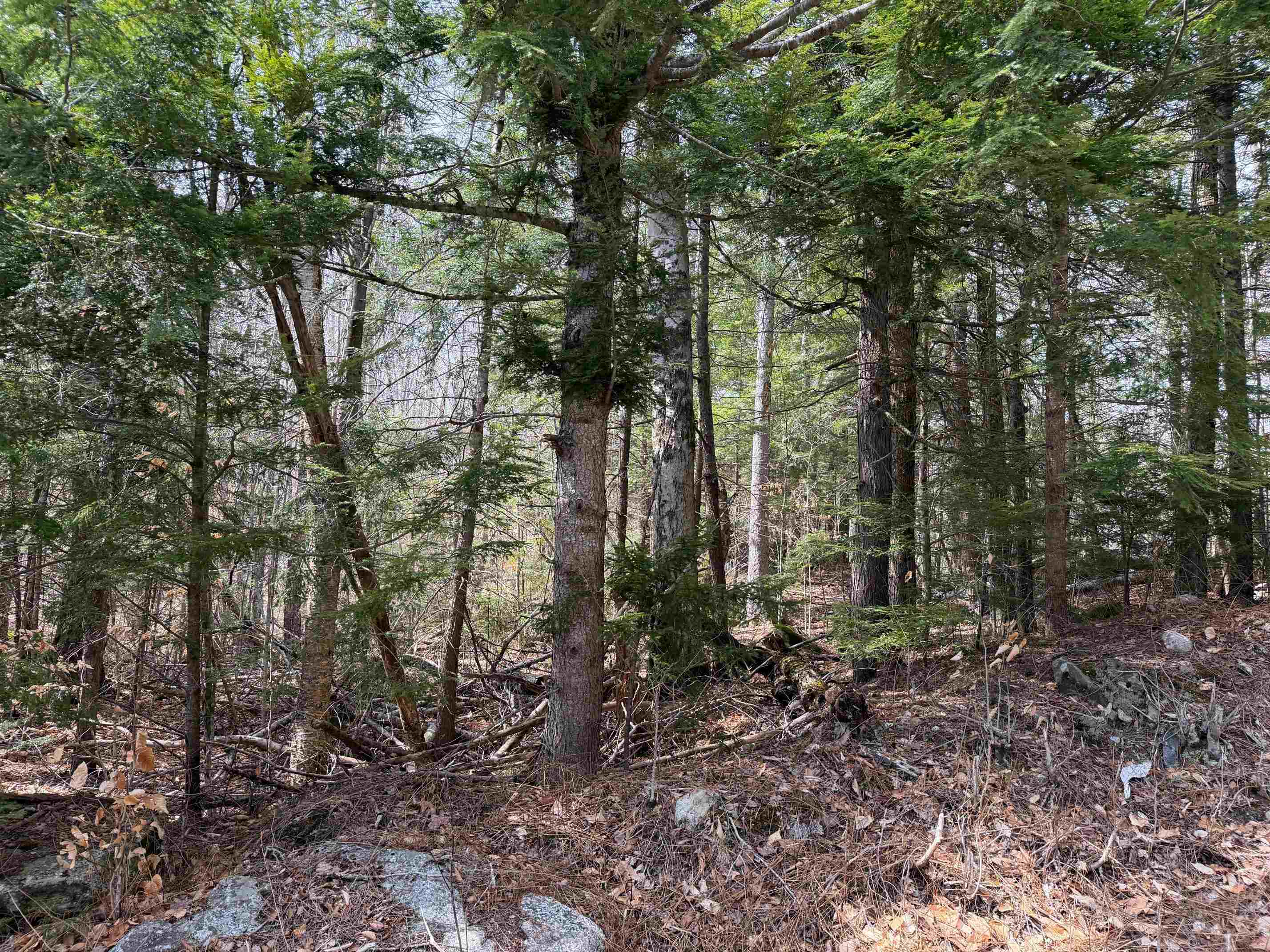 00 Hickory Overlook, Enfield, NH 03748