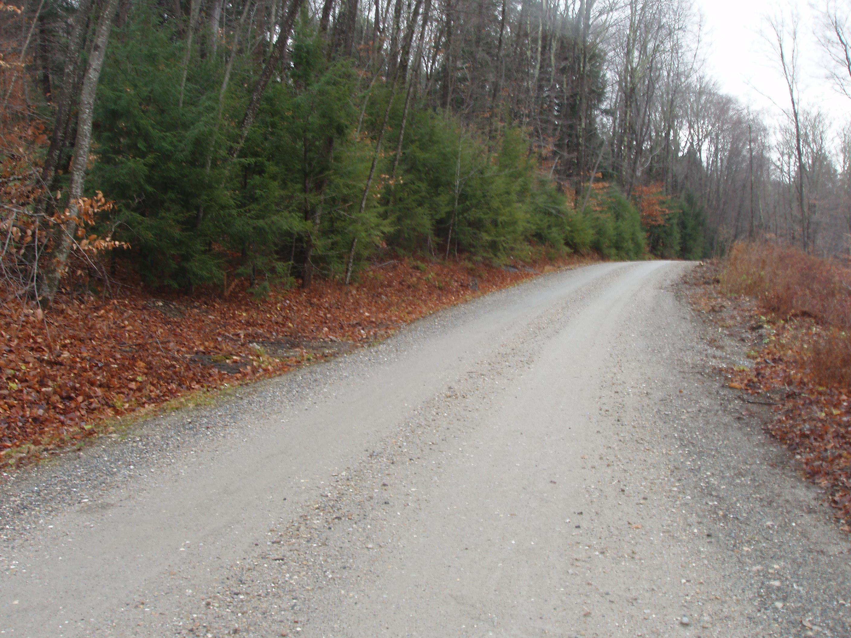 00 Finbar's Forest Rd, Manchester, VT 05255