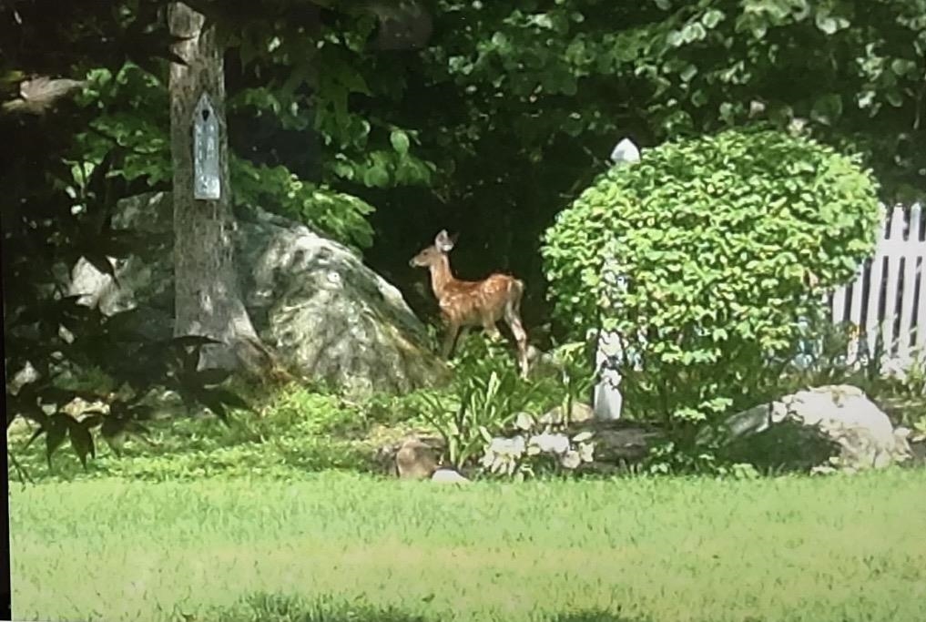 125 Nashua Rd, Bedford, NH 03110