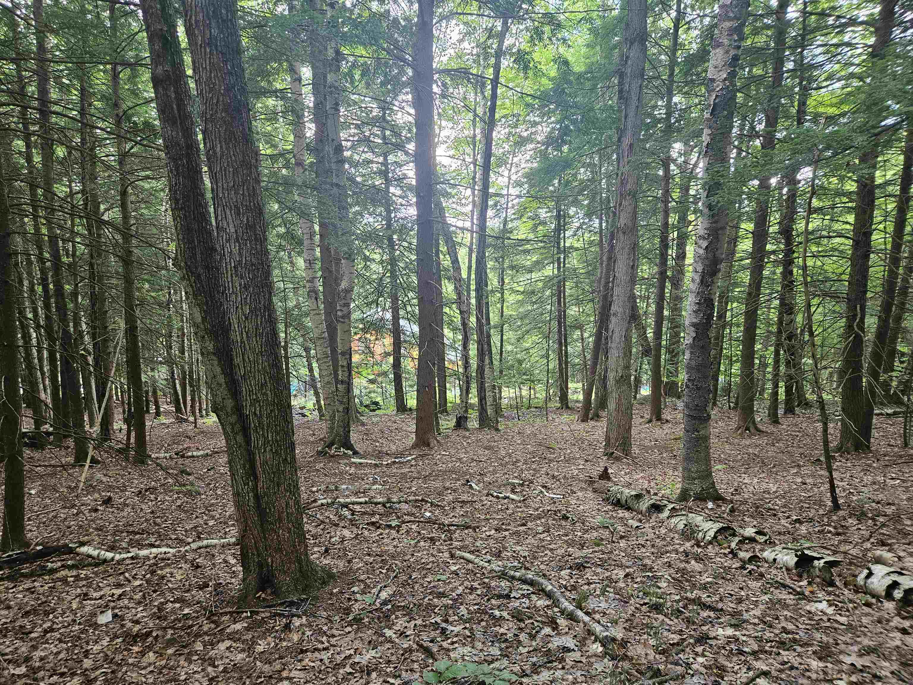 Map 132 Lot 115 Arrowhead Ln, Gilmanton, NH 03237