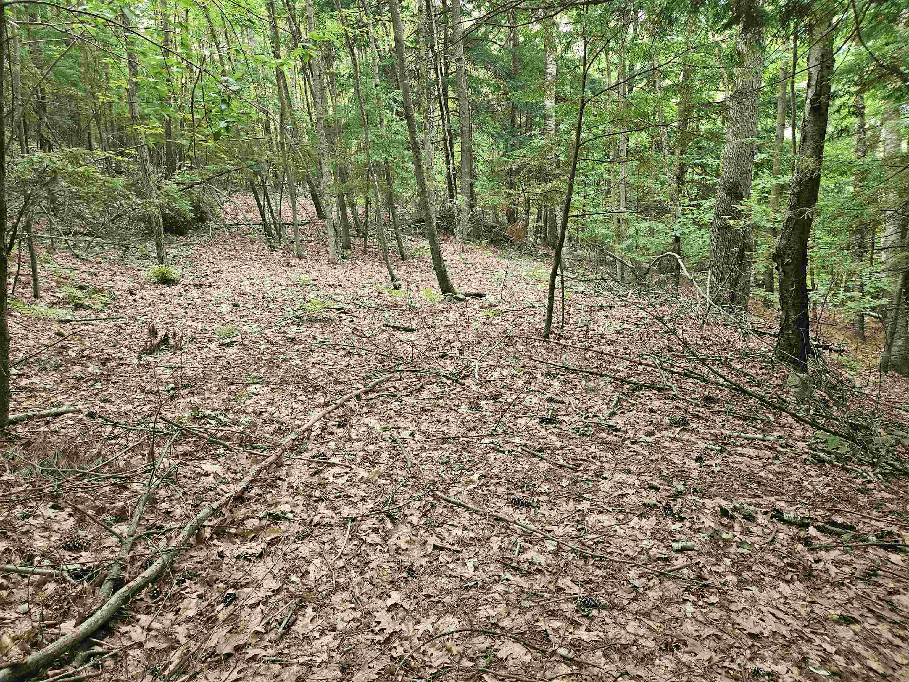 Map 132 Lot 115 Arrowhead Ln, Gilmanton, NH 03237