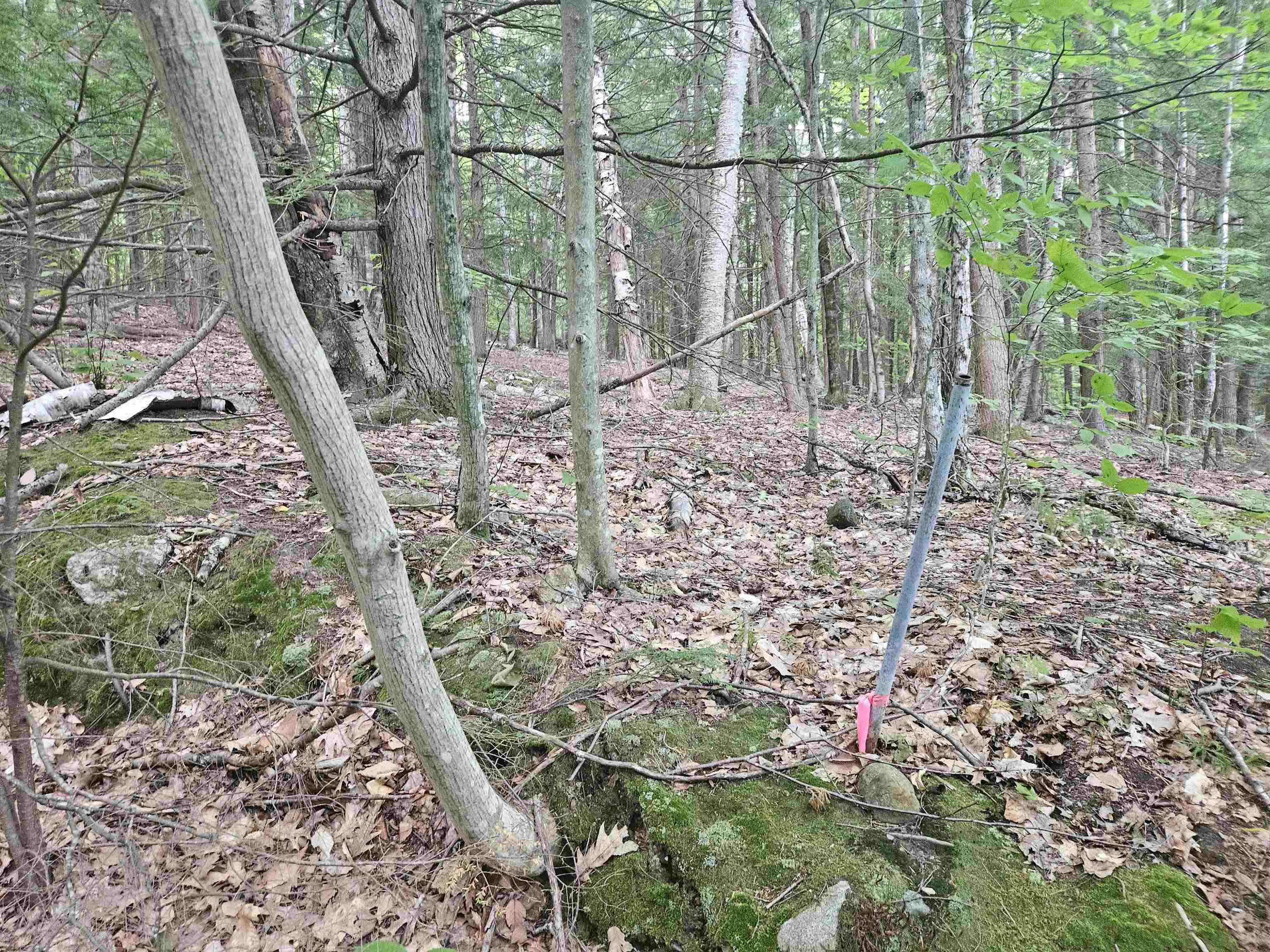 Map 132 Lot 115 Arrowhead Ln, Gilmanton, NH 03237