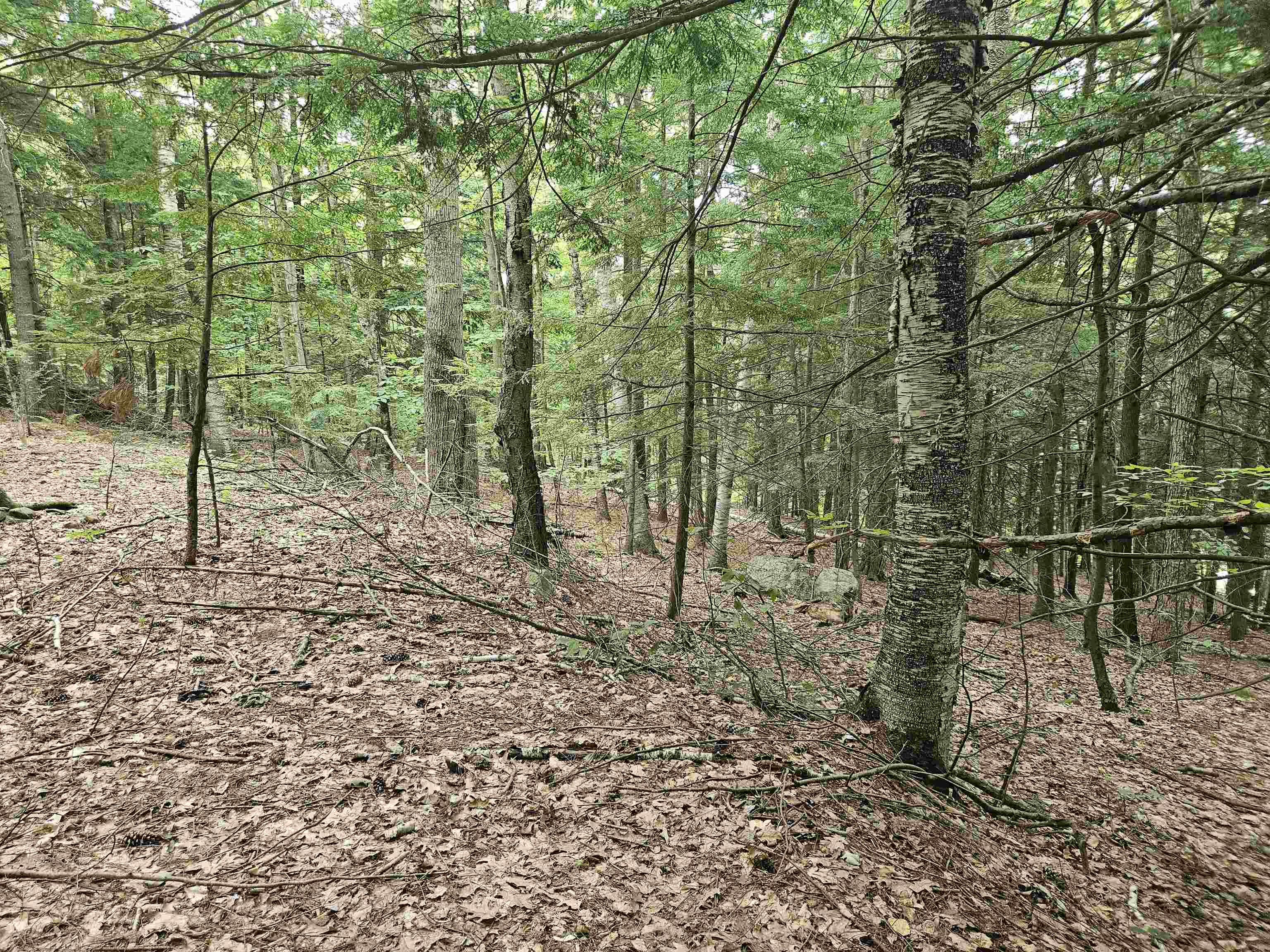 Map 132 Lot 115 Arrowhead Ln, Gilmanton, NH 03237
