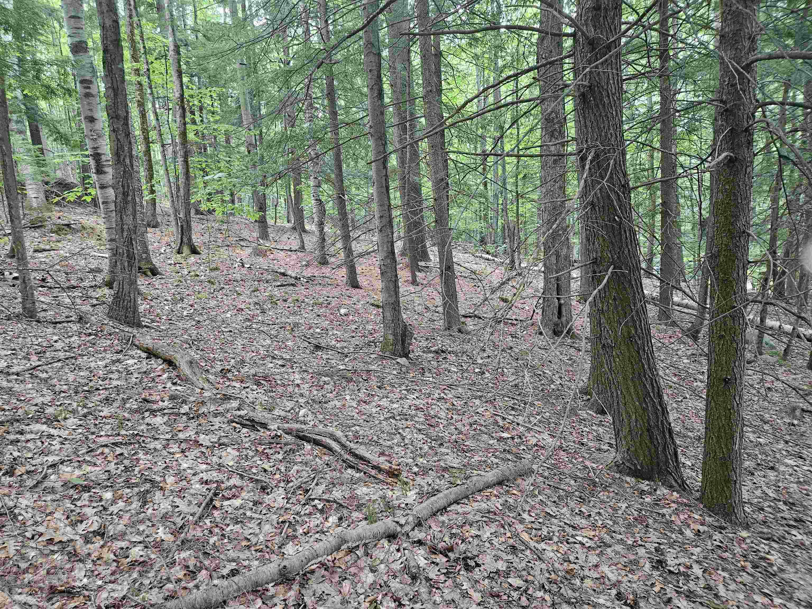 Map 132 Lot 115 Arrowhead Ln, Gilmanton, NH 03237