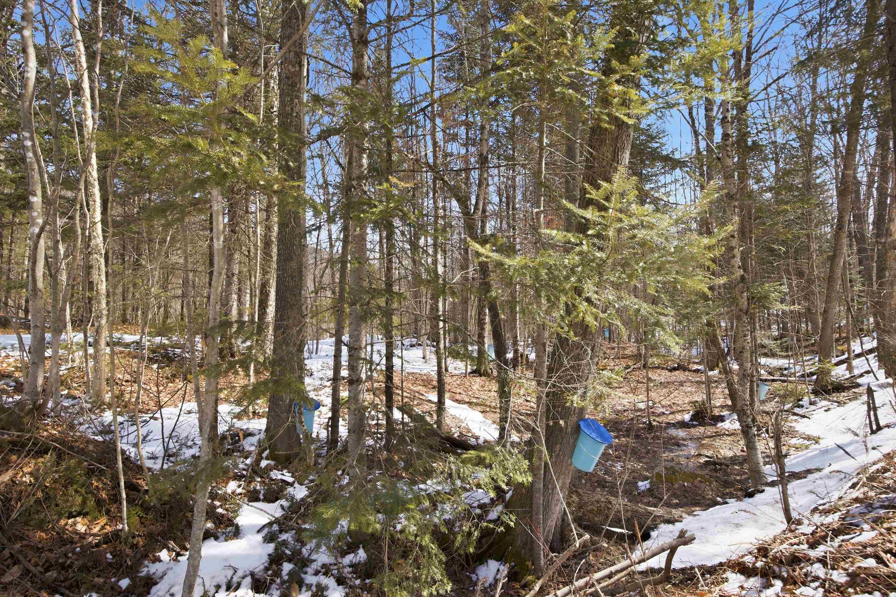 Property photo 37