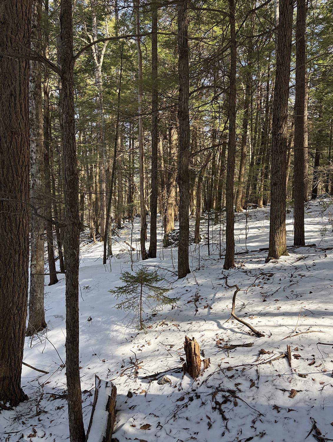 00 Hodgdon Rd, Alexandria, NH 03222