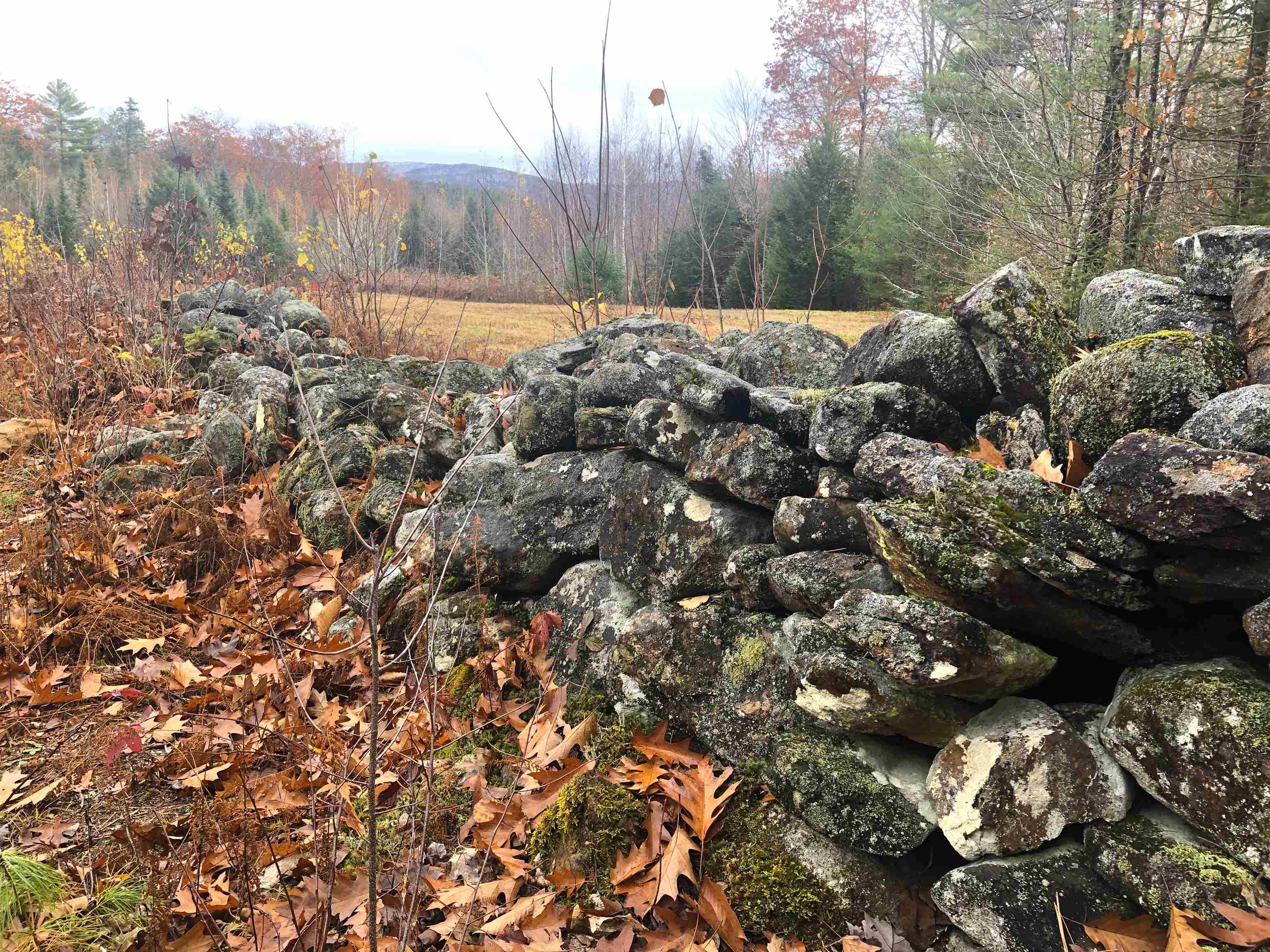 0 Page Rd, Campton, NH 03223