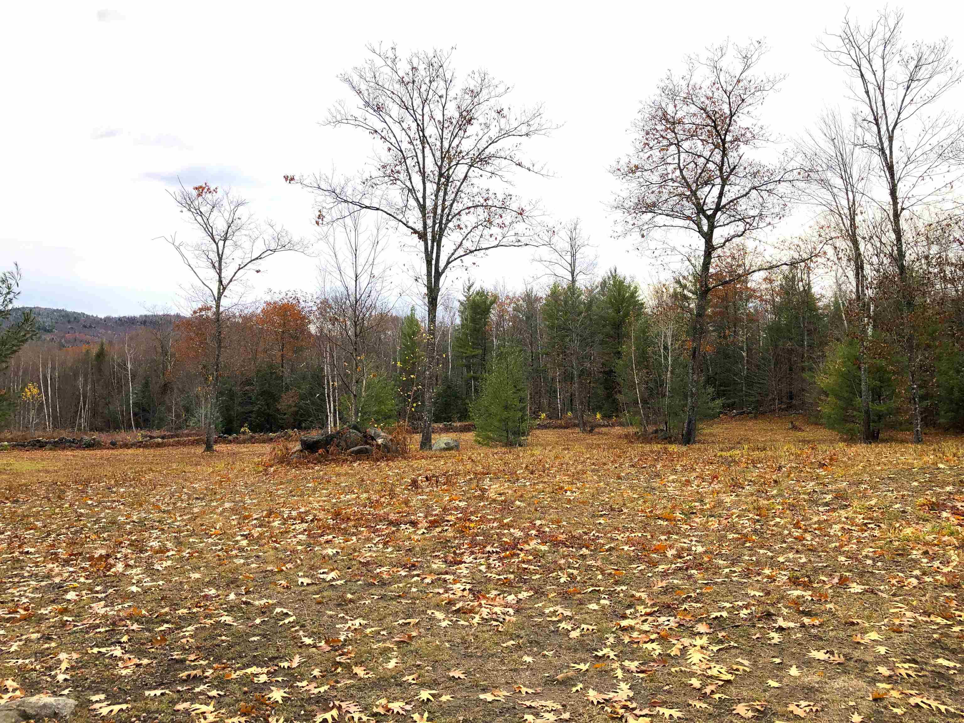 0 Page Rd, Campton, NH 03223