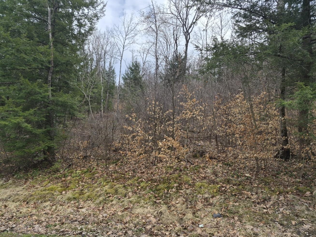 ROCKINGHAM VT&nbsp;Land / Acres for sale