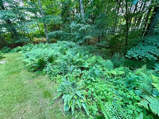 Property photo 33