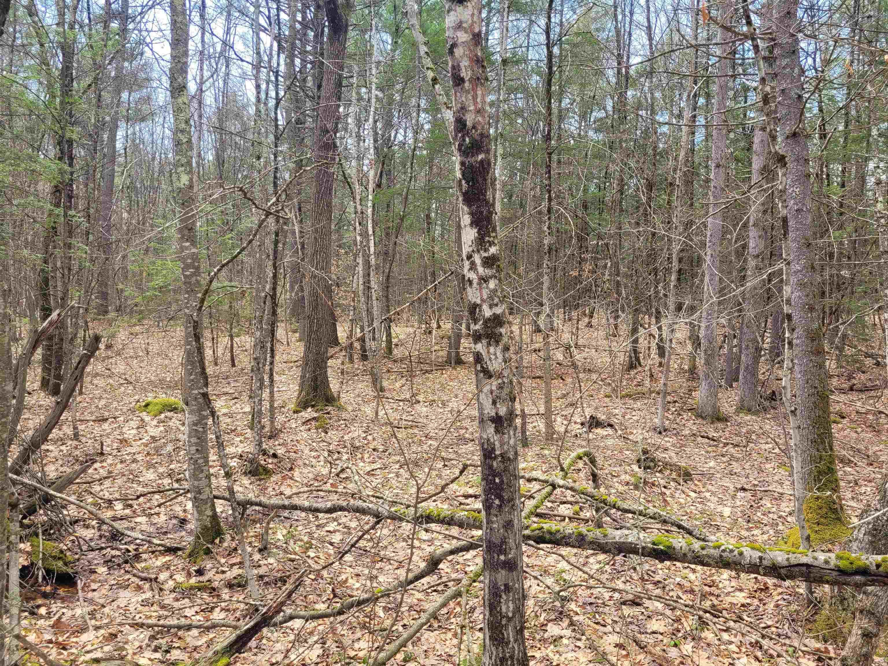 0 Tipping Rock Rd, Winchester, NH 03470