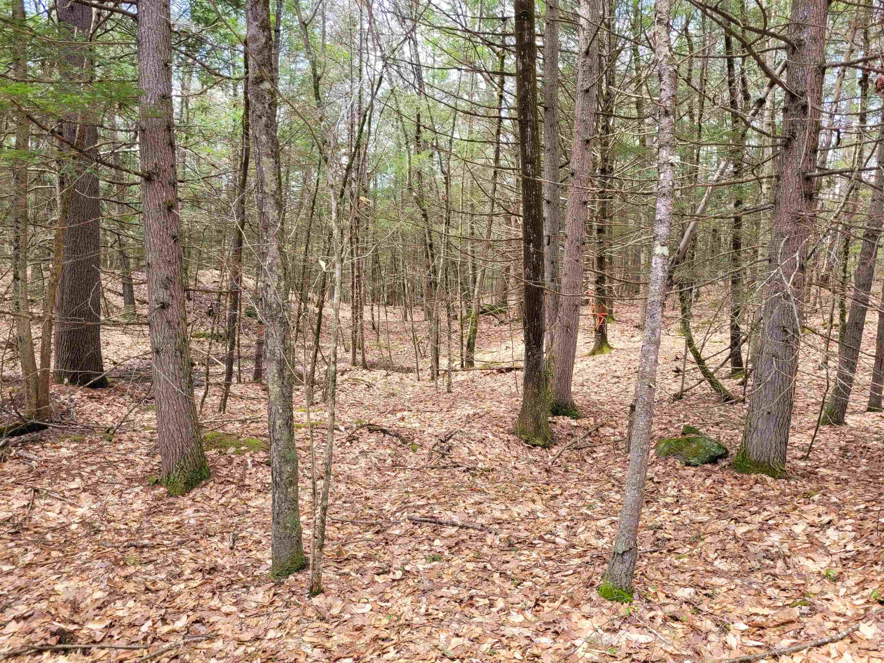 0 Tipping Rock Rd, Winchester, NH 03470