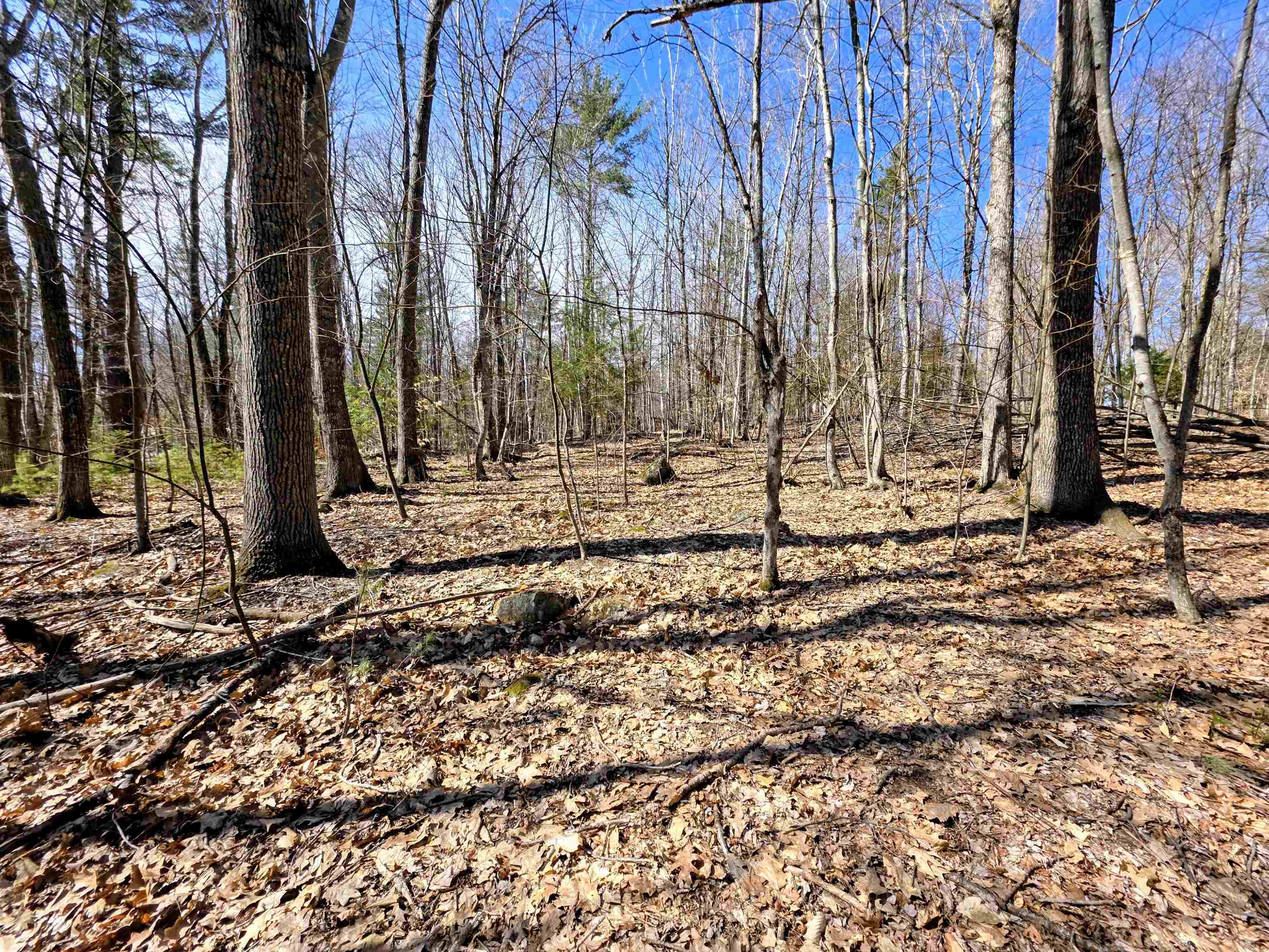 Haverhill NH&nbsp;Land for sale $19,900 | 0.83 Acres  | Price Per Acre $0 