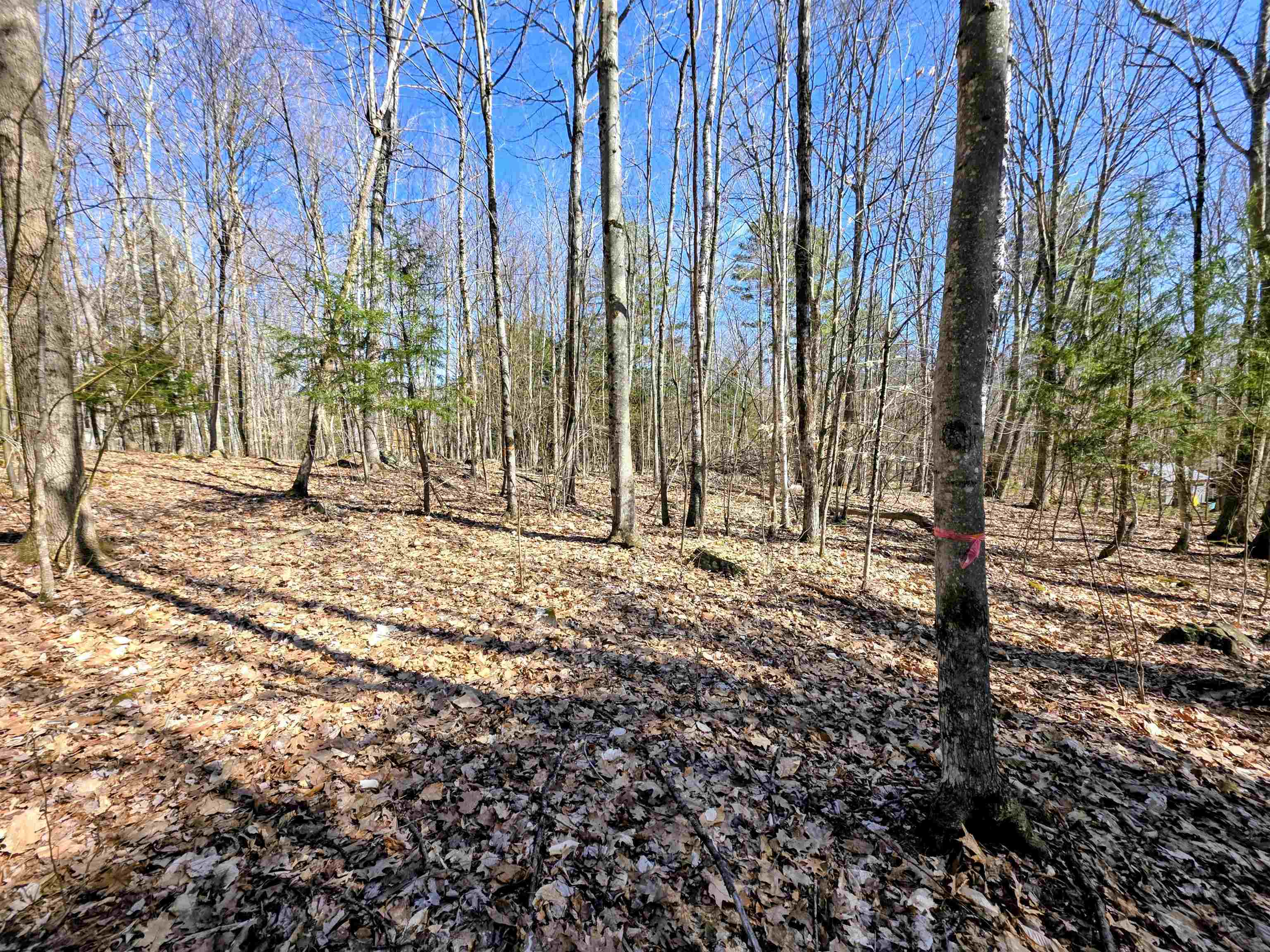 0000 Wildcat Dr, Haverhill, NH 03765