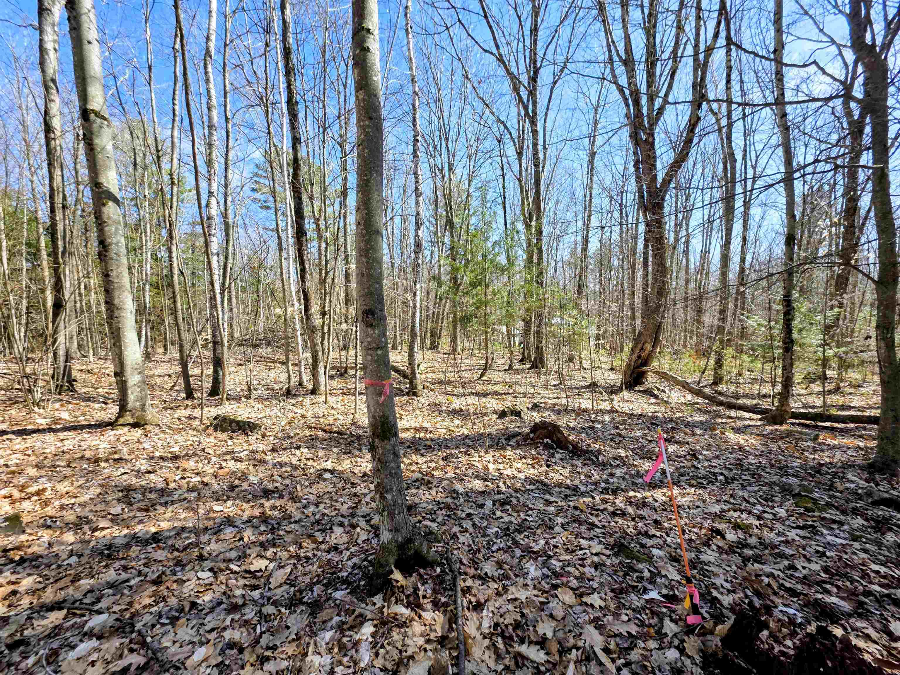 0000 Wildcat Dr, Haverhill, NH 03765