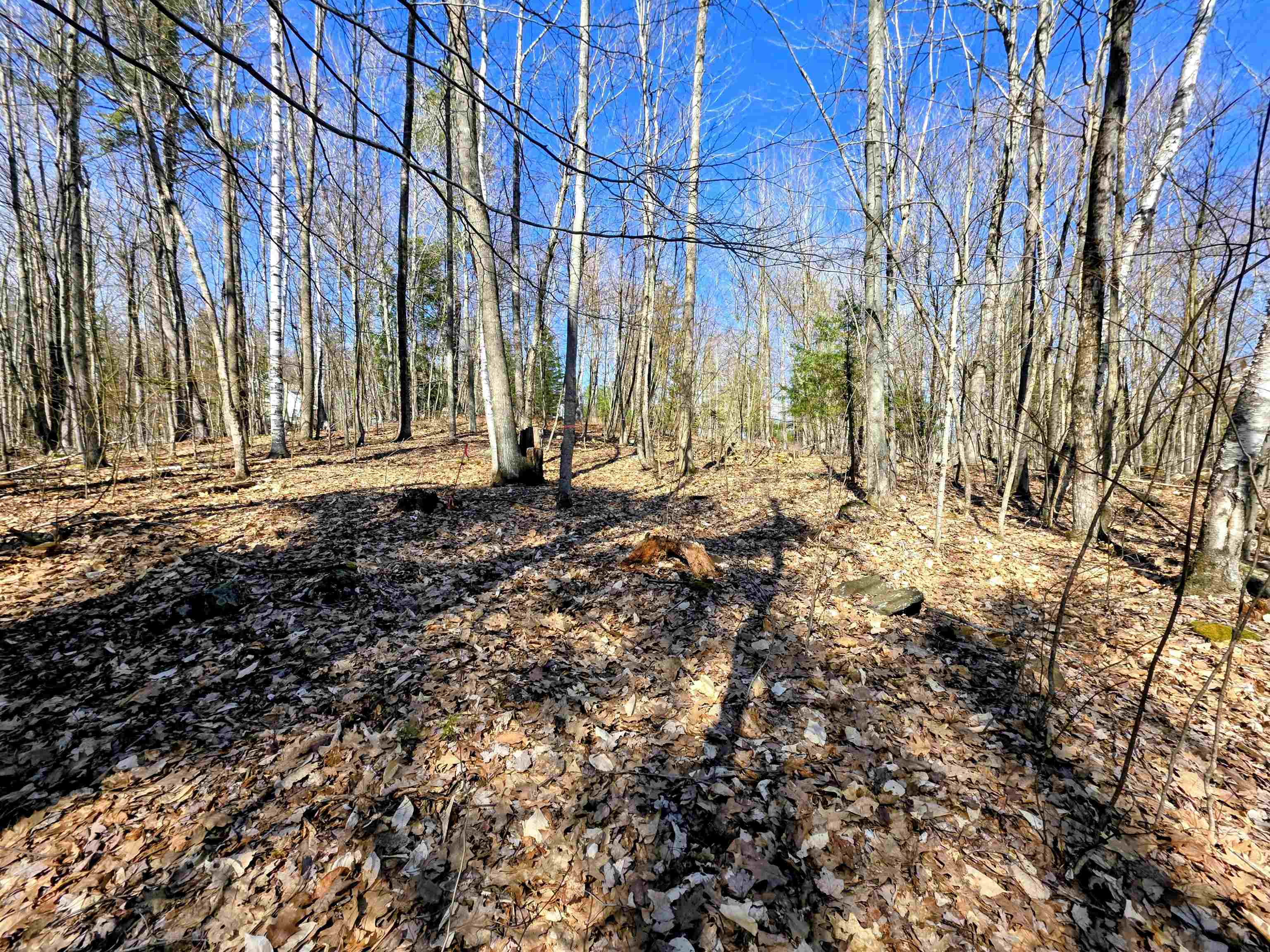 0000 Wildcat Dr, Haverhill, NH 03765