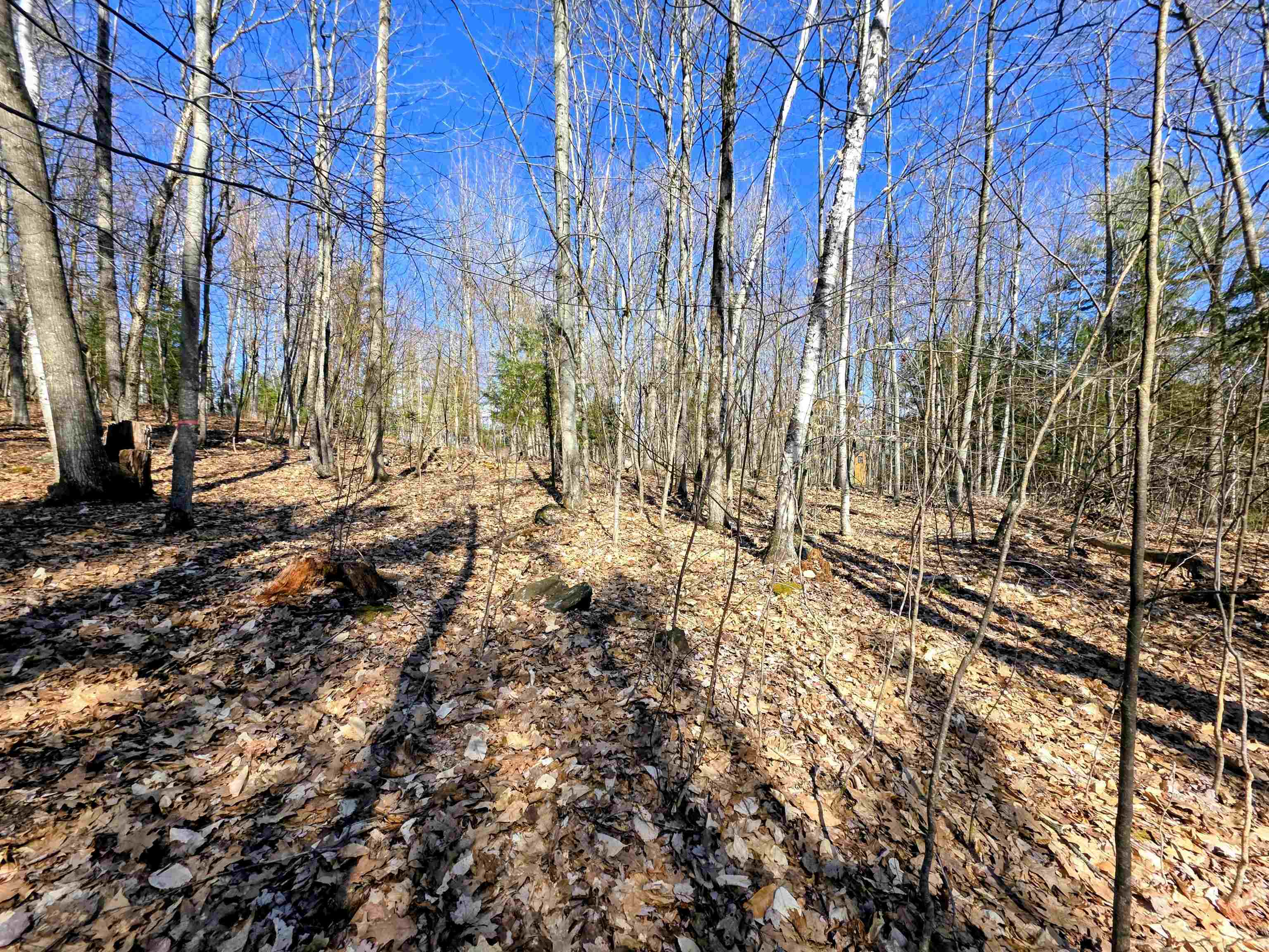 0000 Wildcat Dr, Haverhill, NH 03765