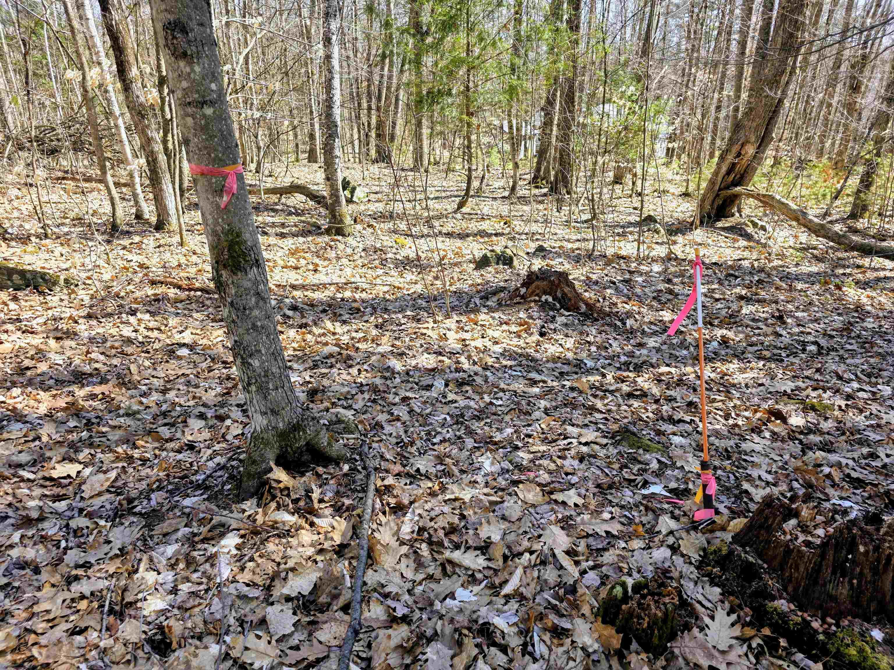 0000 Wildcat Dr, Haverhill, NH 03765