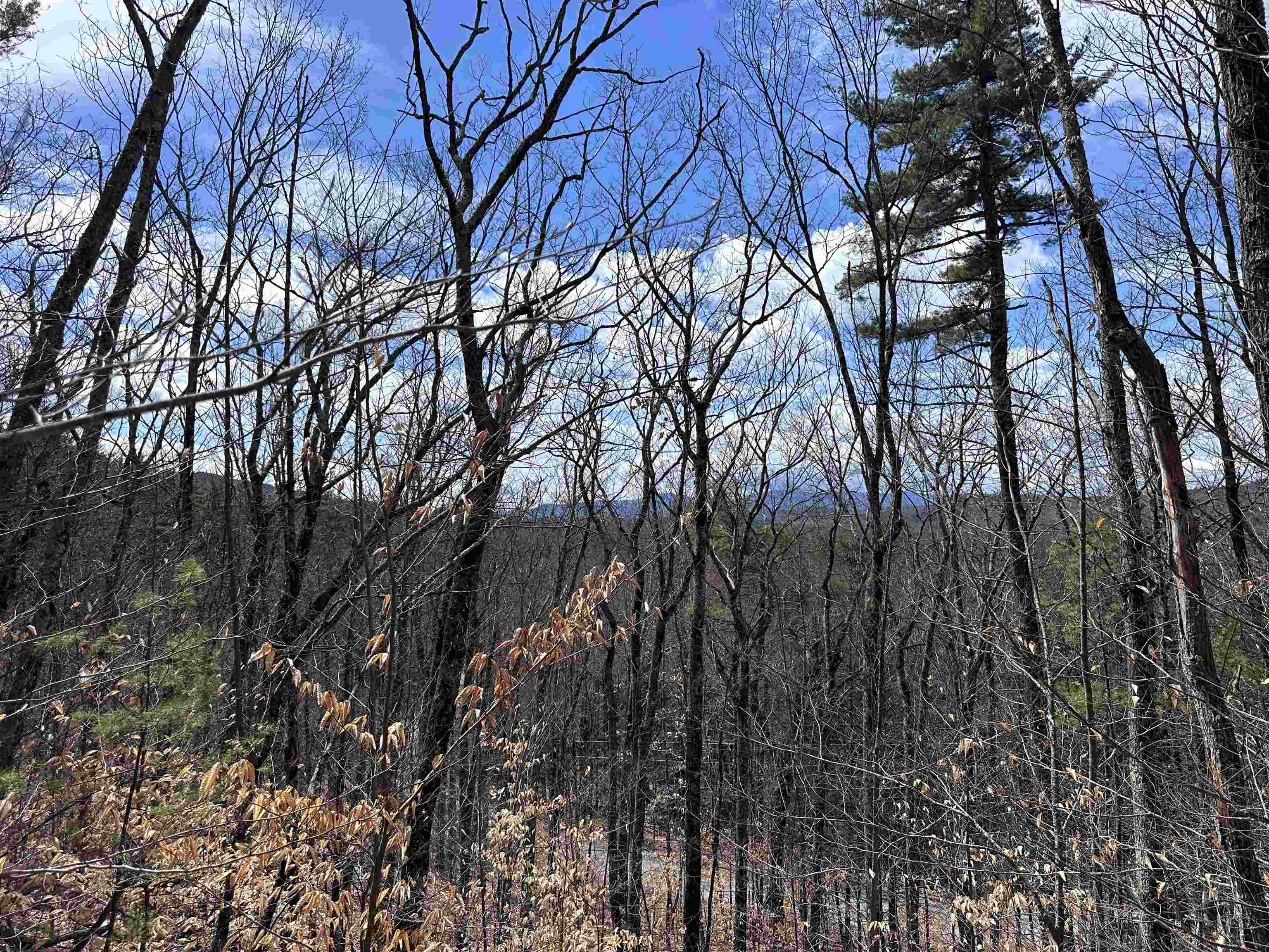 19 Saint Moritz Dr, Madison, NH 03849