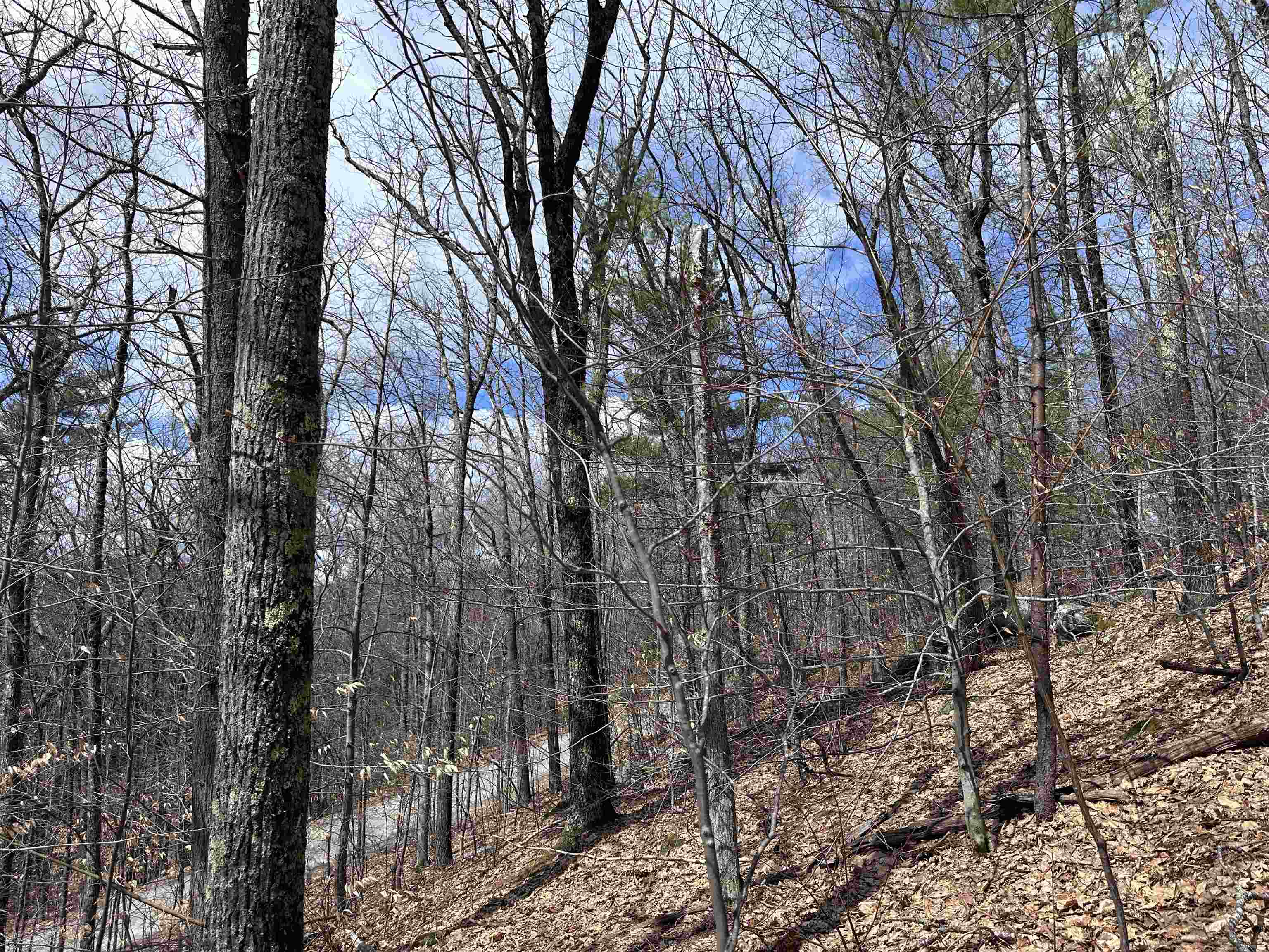 19 Saint Moritz Dr, Madison, NH 03849