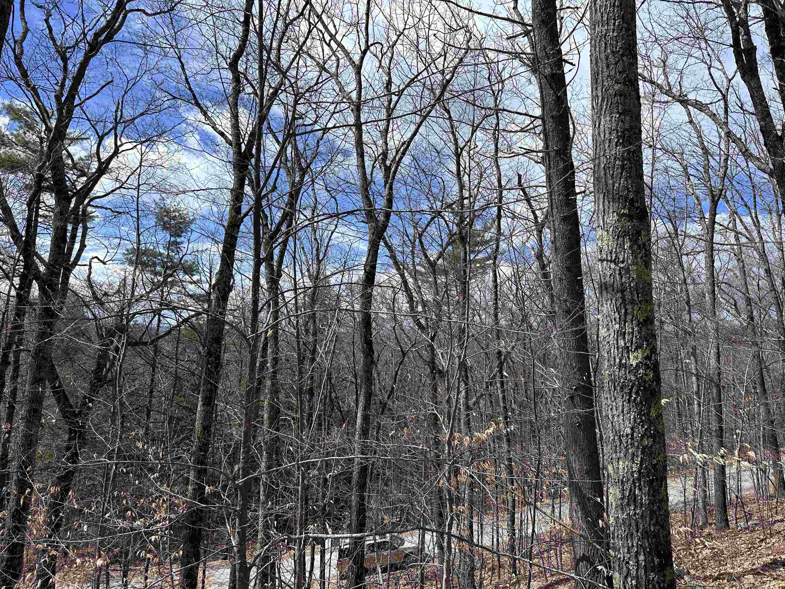 19 Saint Moritz Dr, Madison, NH 03849