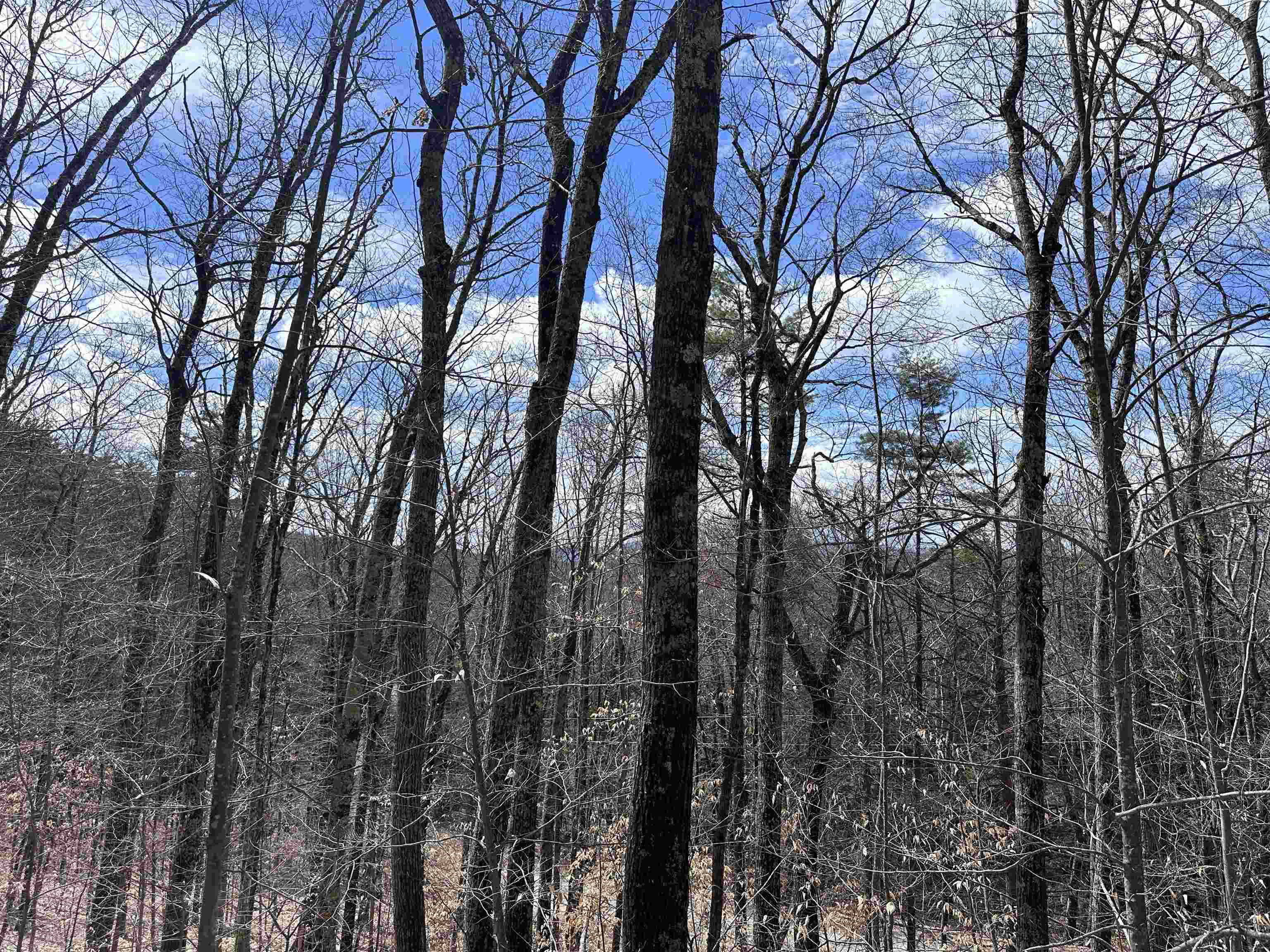 19 Saint Moritz Dr, Madison, NH 03849