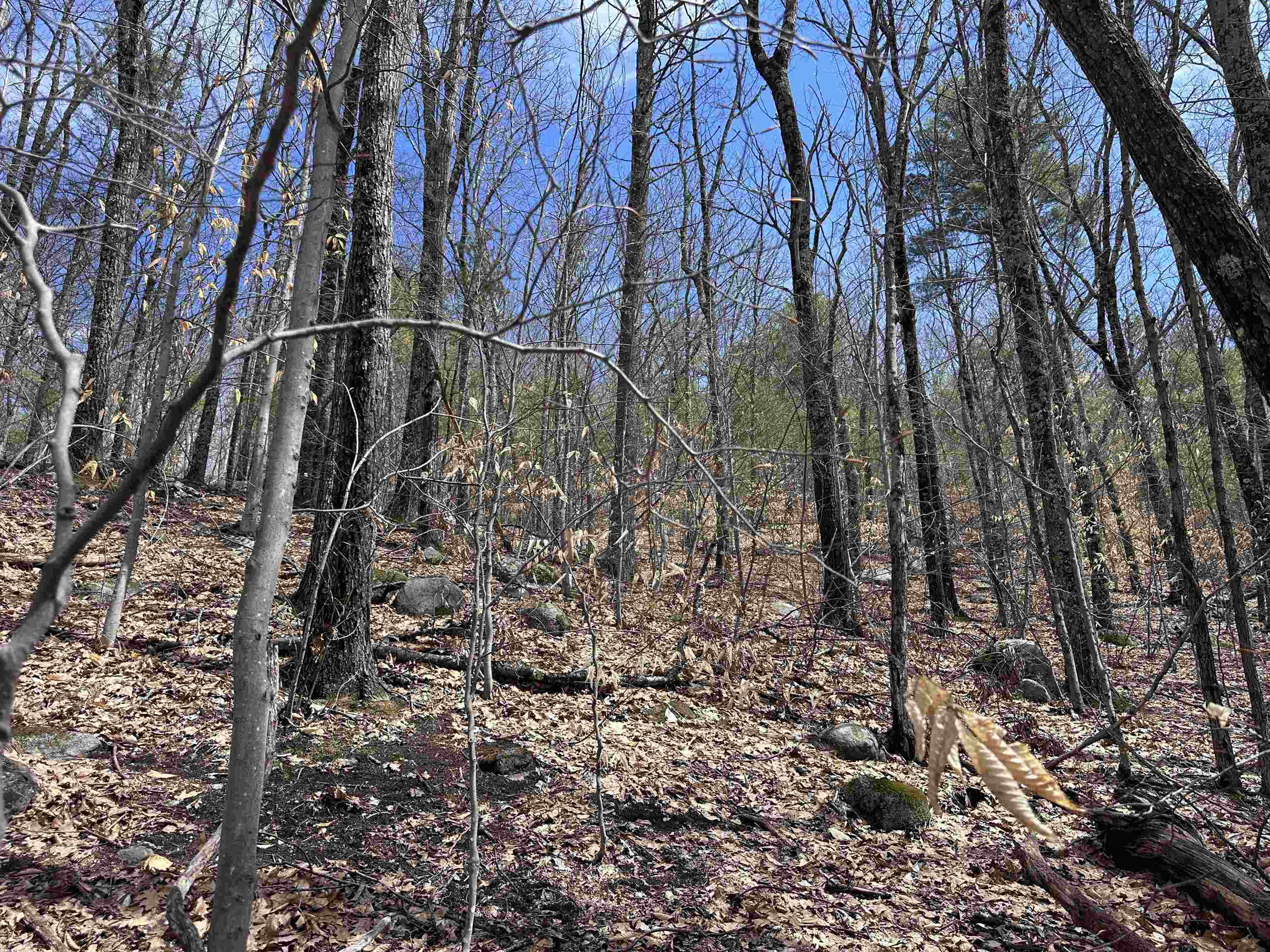 19 Saint Moritz Dr, Madison, NH 03849