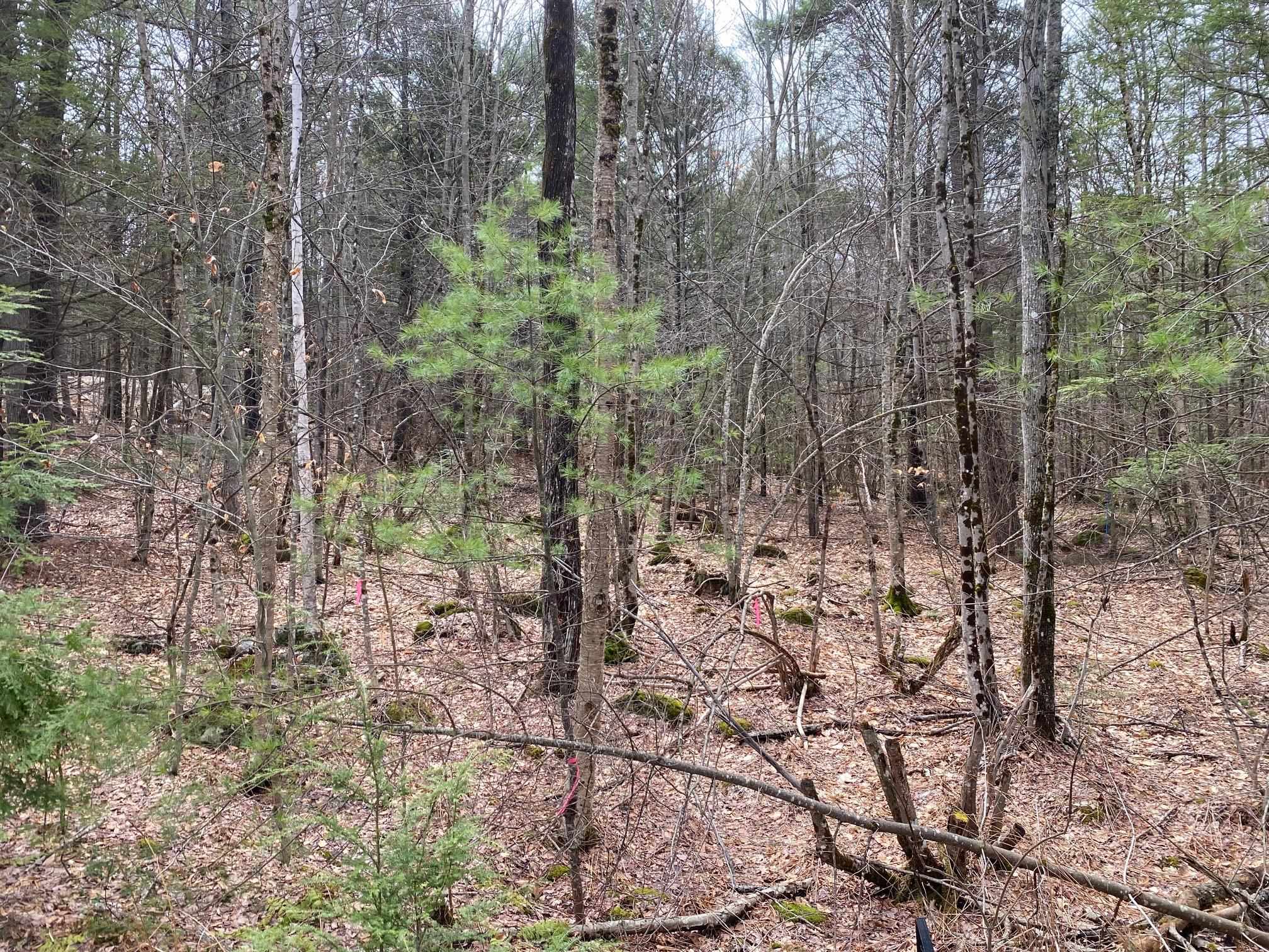 00 Winnipesaukee Drive — photo 3