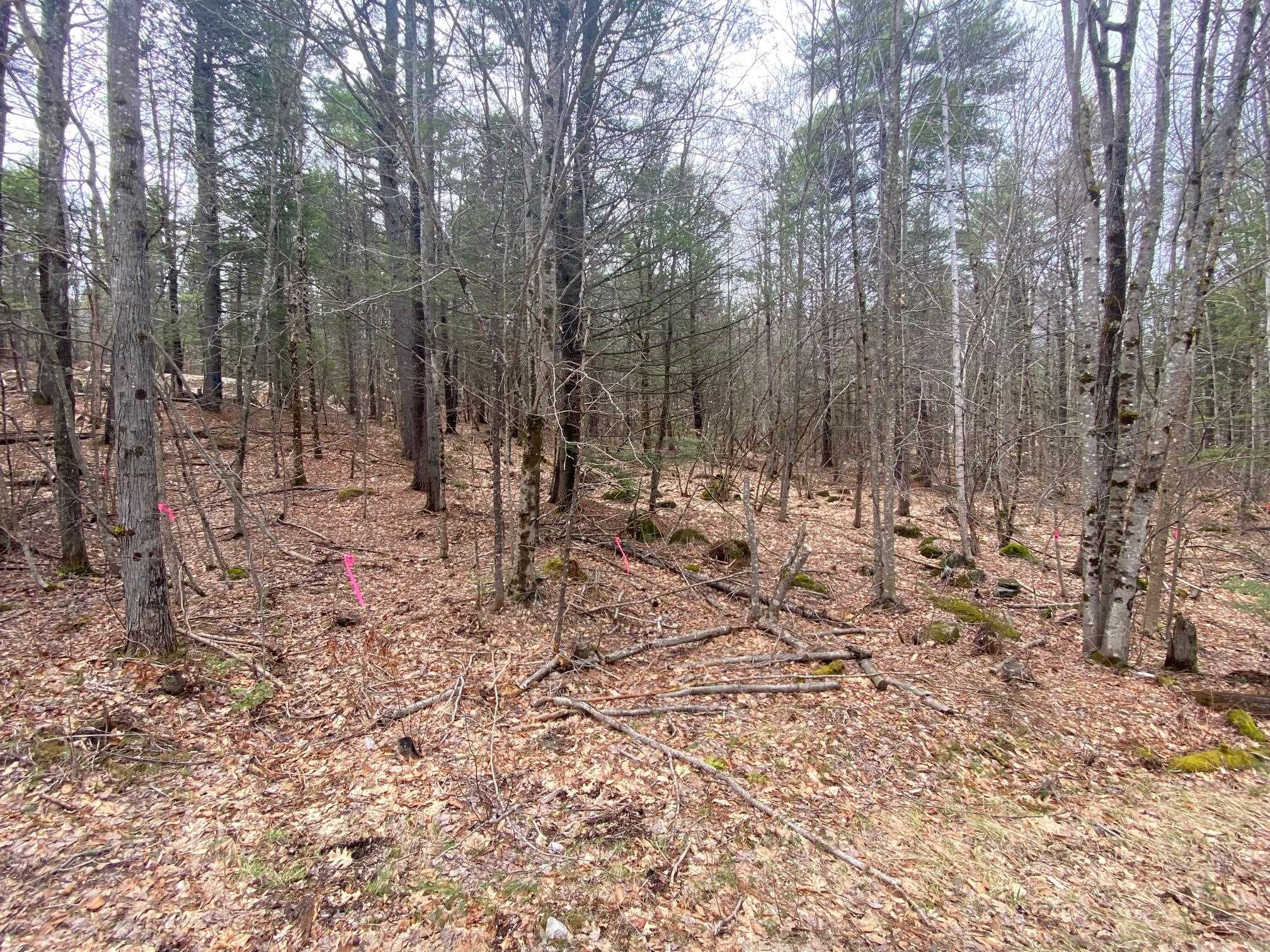 00 Winnipesaukee Dr, Wolfeboro, NH 03894