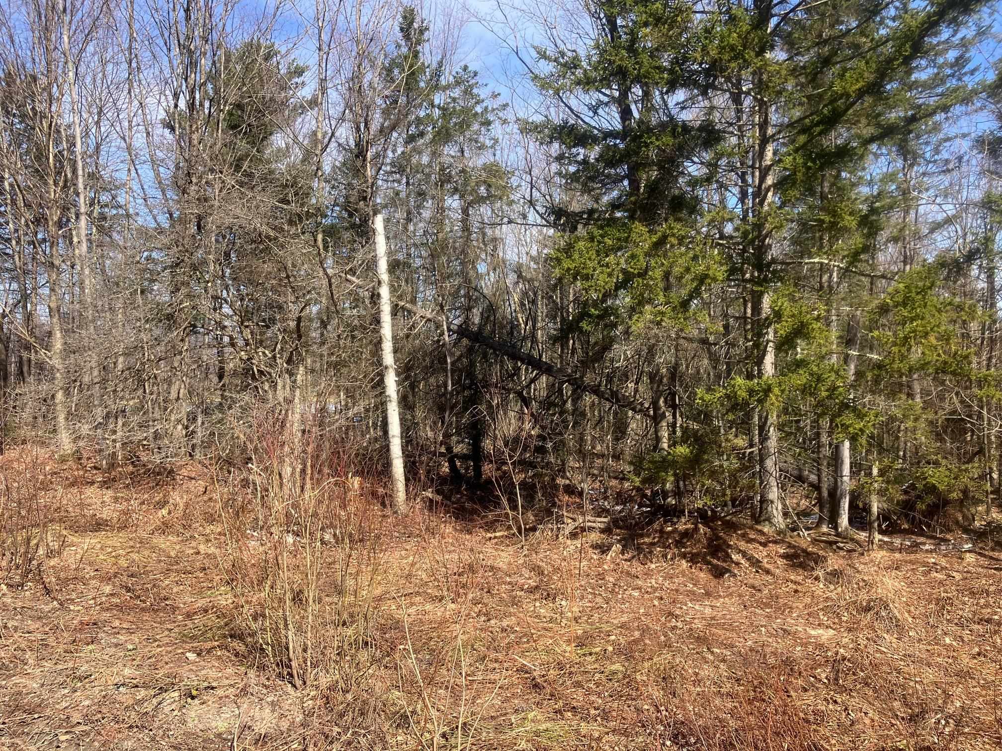 351 Mcallister Rd, Richford, VT 05476